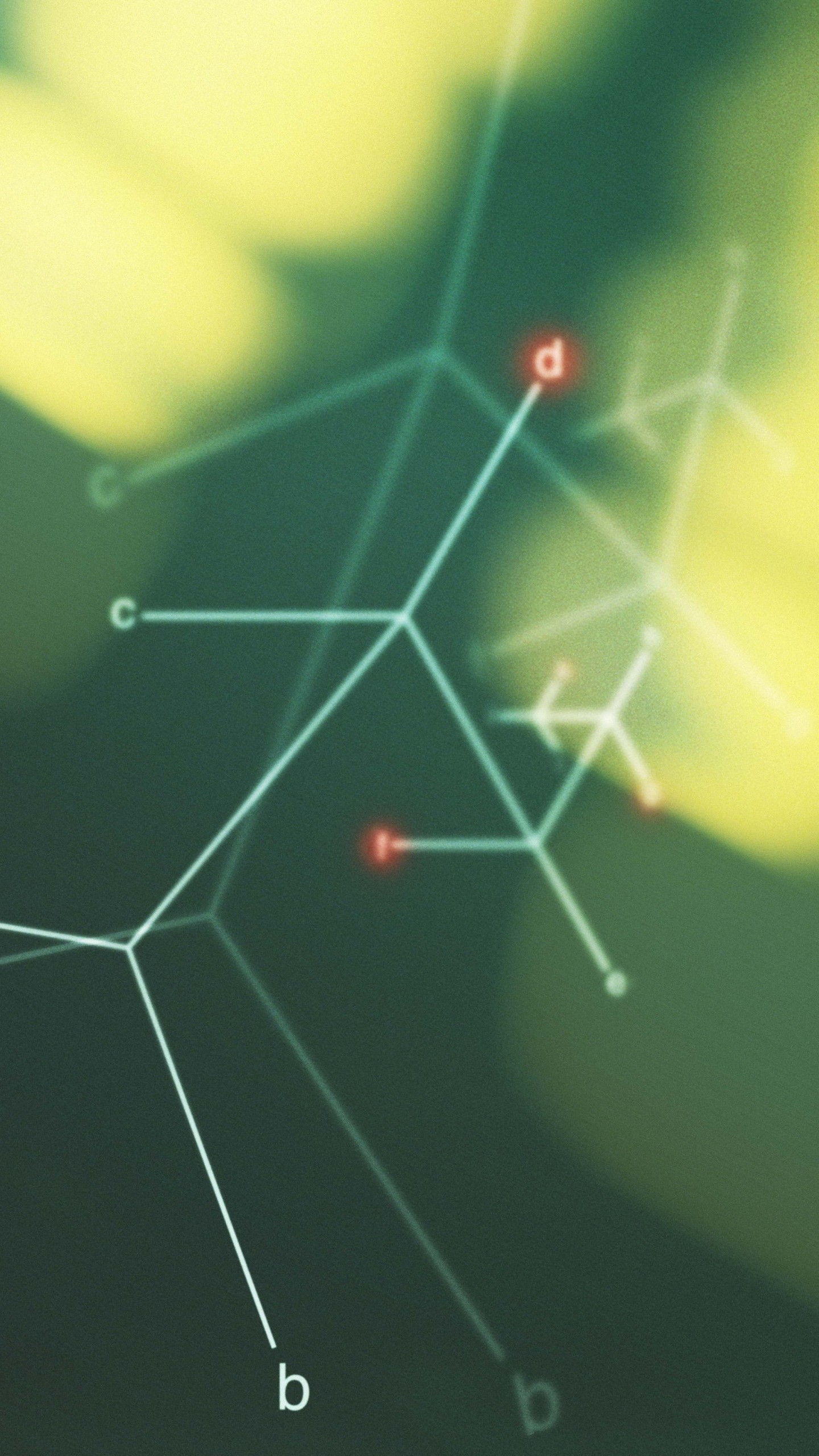 Feynman diagram, Particle physics, Minimalist, QHD+, vertical phone wallpaper