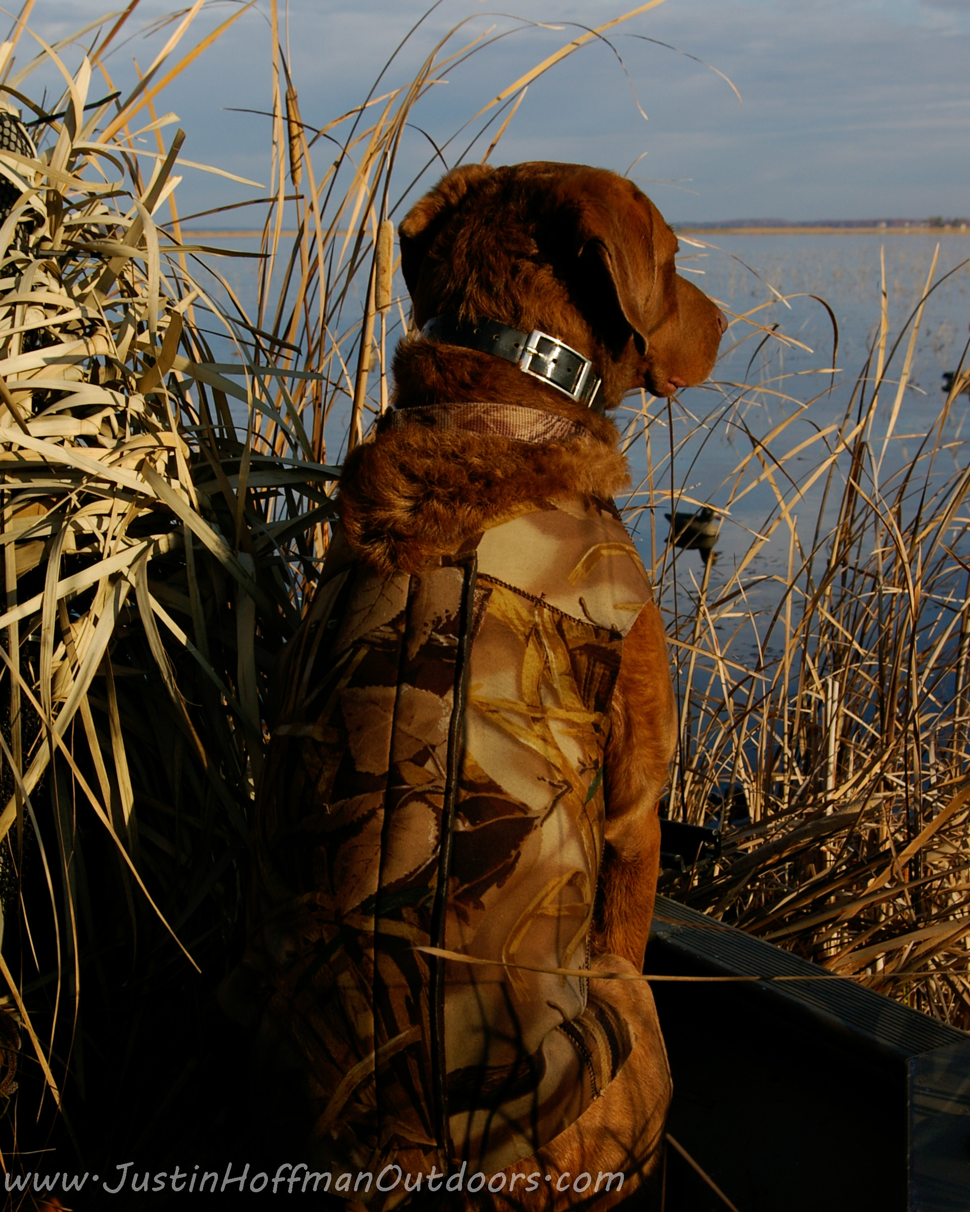 Duck Hunting Backgrounds ·① WallpaperTag