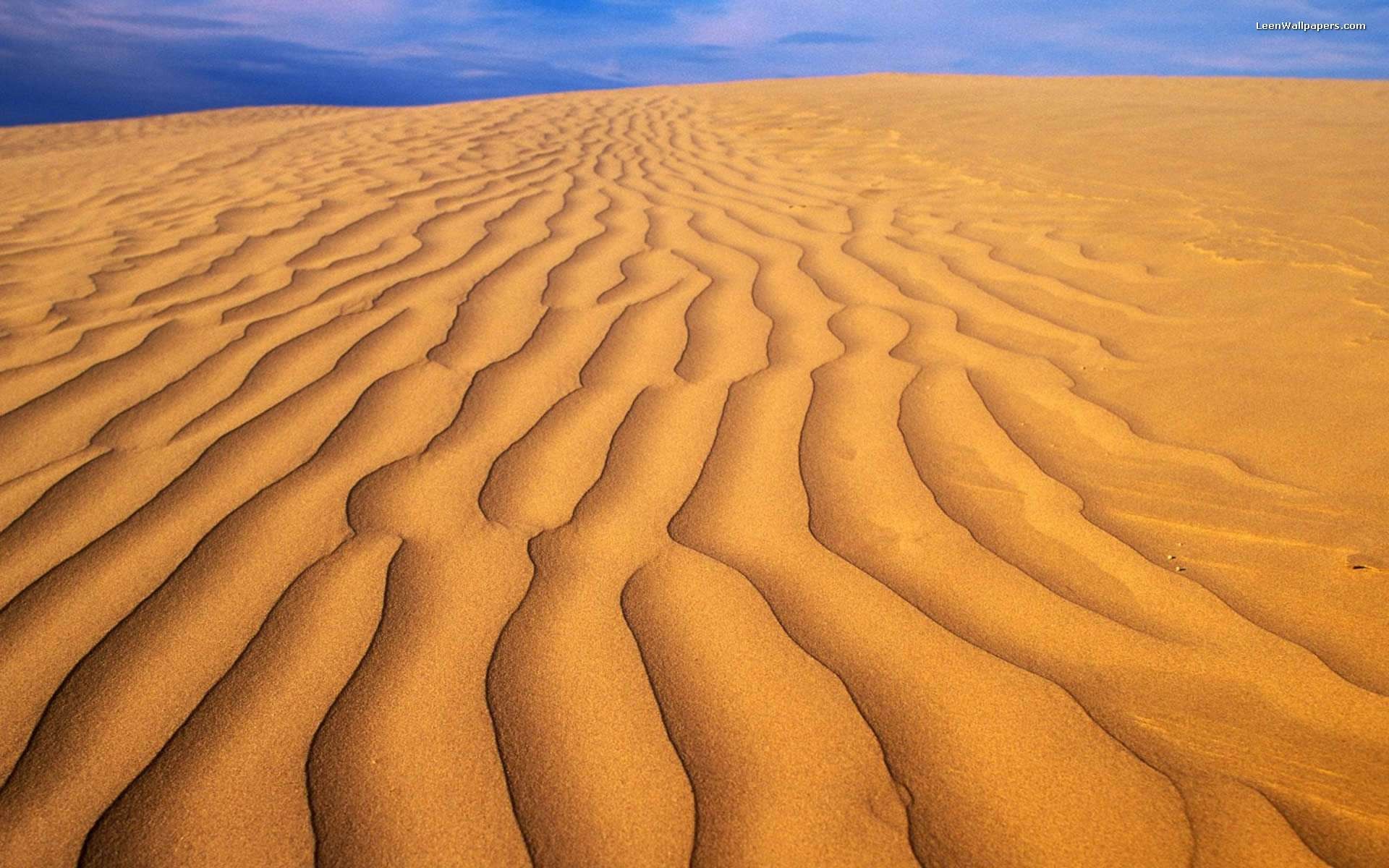 Неживая природа в пустыне. Пустыня. Пустыня фон. Песчаная Дюна. Пустыня песок.