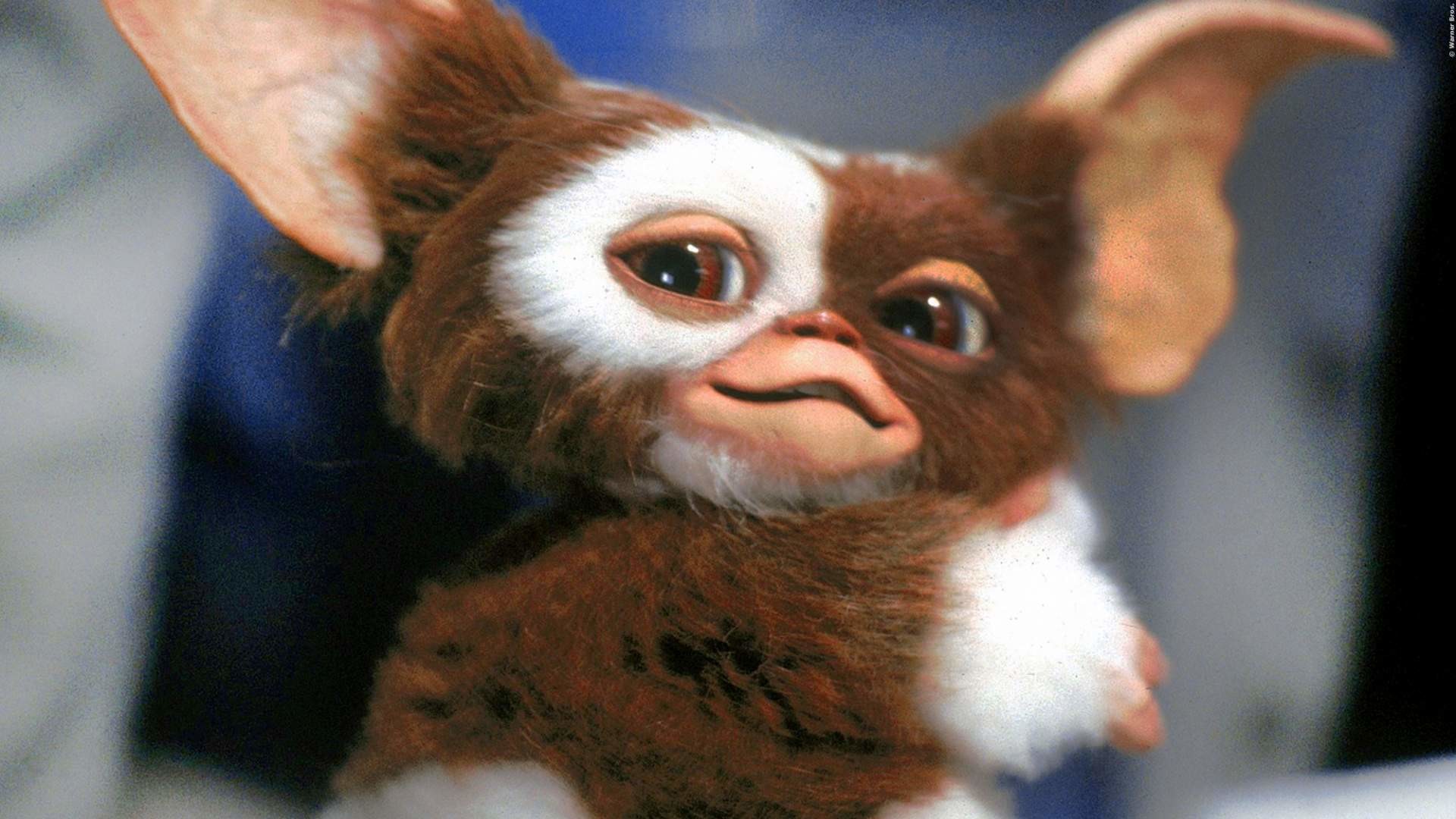 Gizmo Gremlins Wallpaper WallpaperTag Gizmo Gremlins Wallpaper WallpaperTag
