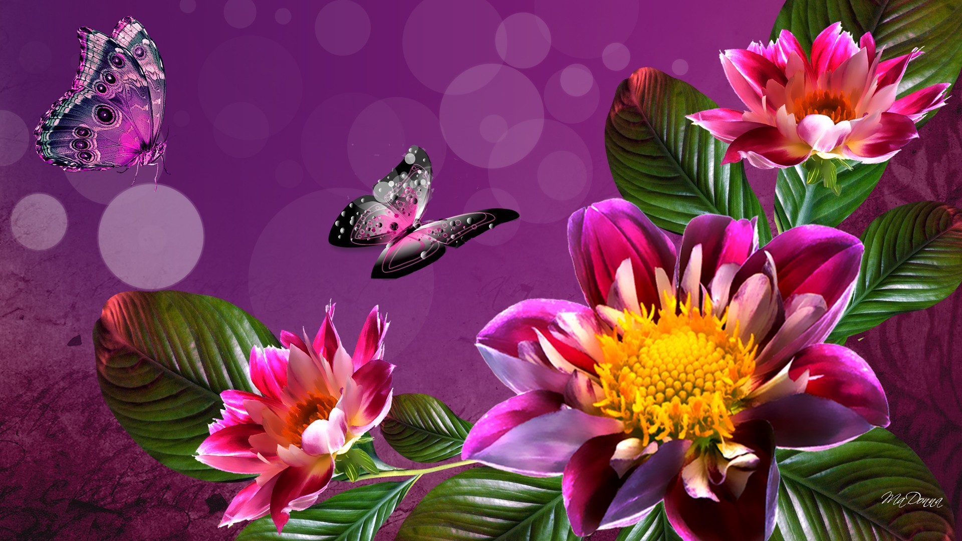 Spring Flower Wallpaper Backgrounds ·①