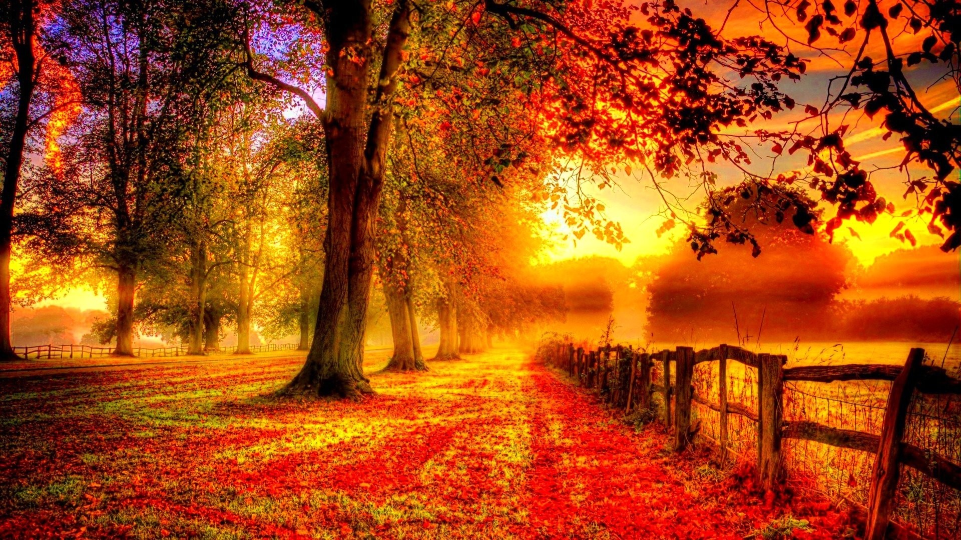 Fall nature full hd wallpapers 1920x1080 - limosample