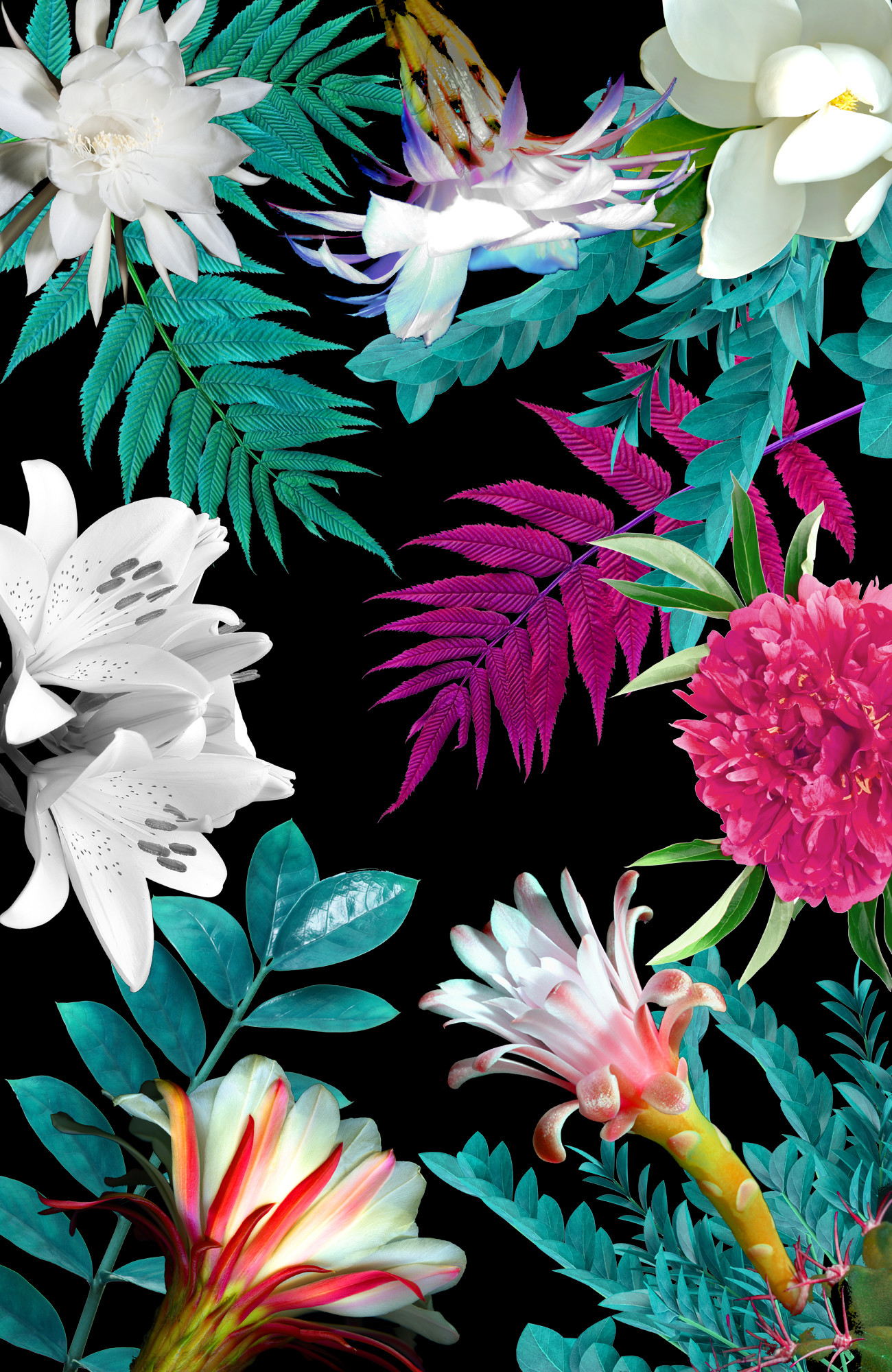 Black Floral Background Tumblr ·① WallpaperTag