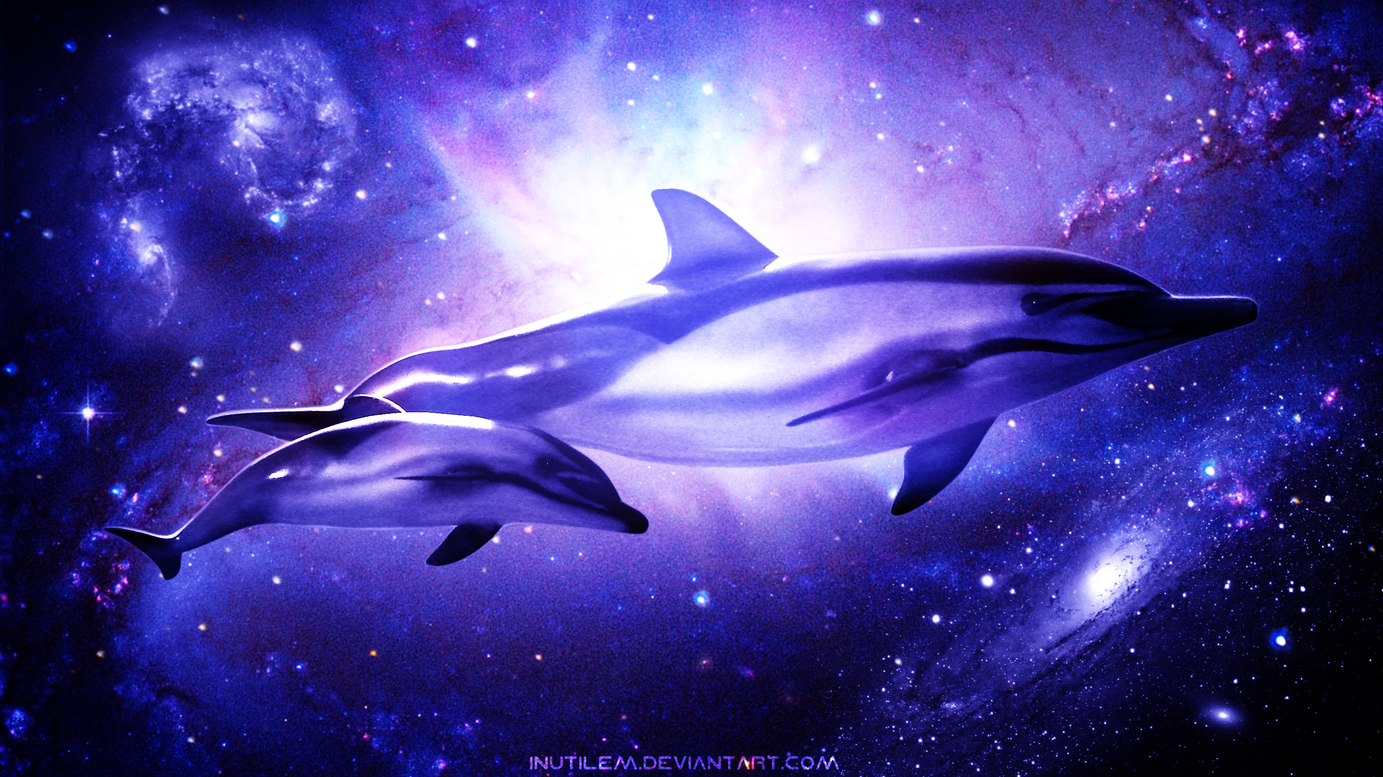 Dolphin Wallpapers For Desktop Wallpapertag Images, Photos, Reviews