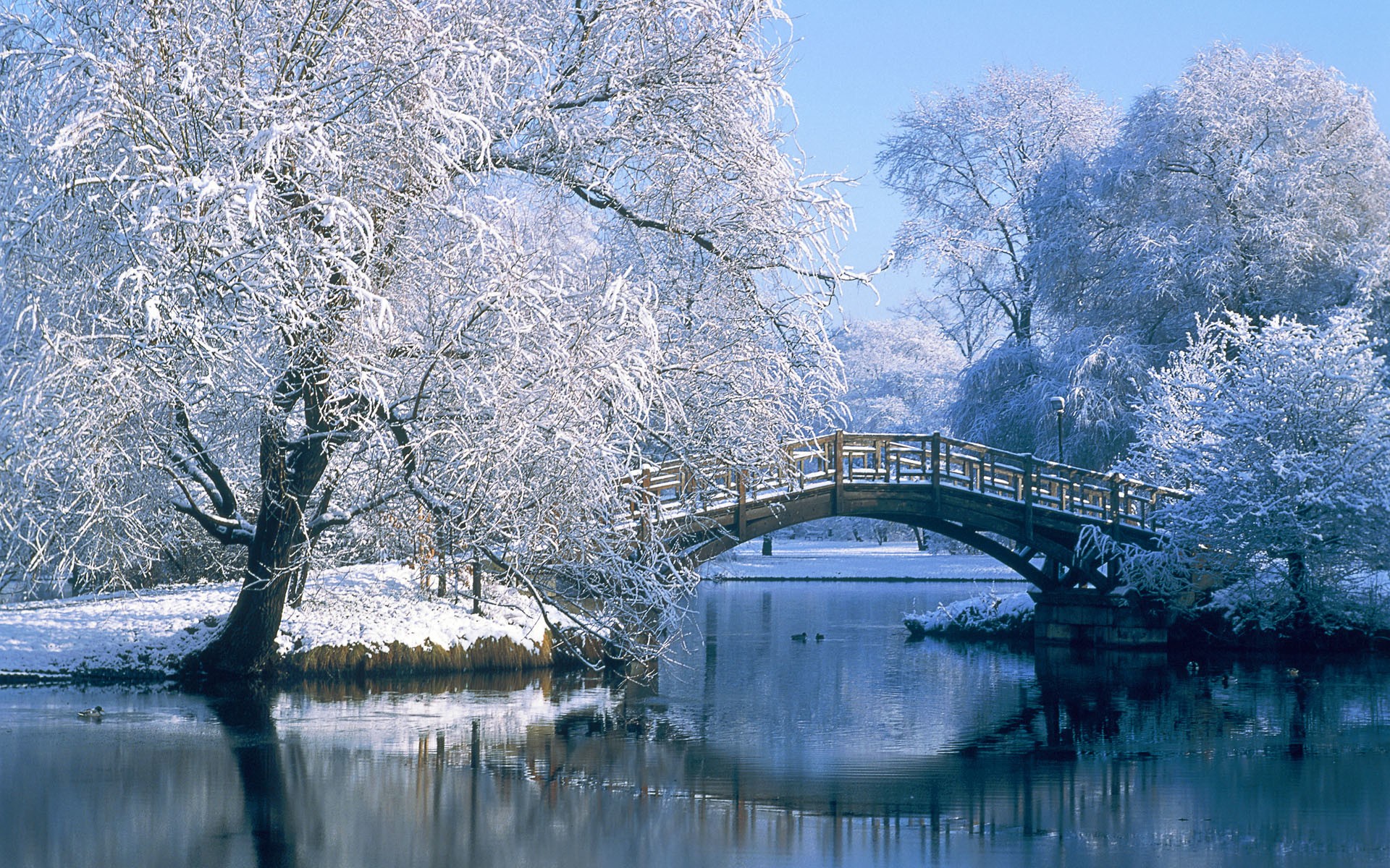 Winter Background Images Download Free Awesome High Resolution Wallpapers For Desktop