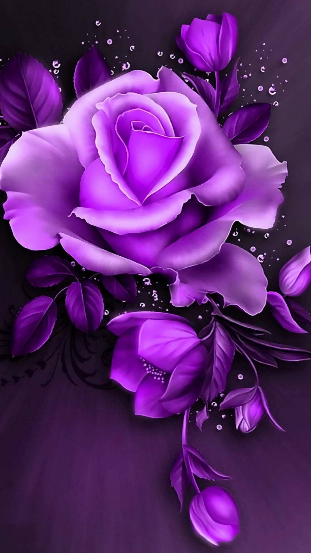 Purple Rose Background ·① WallpaperTag