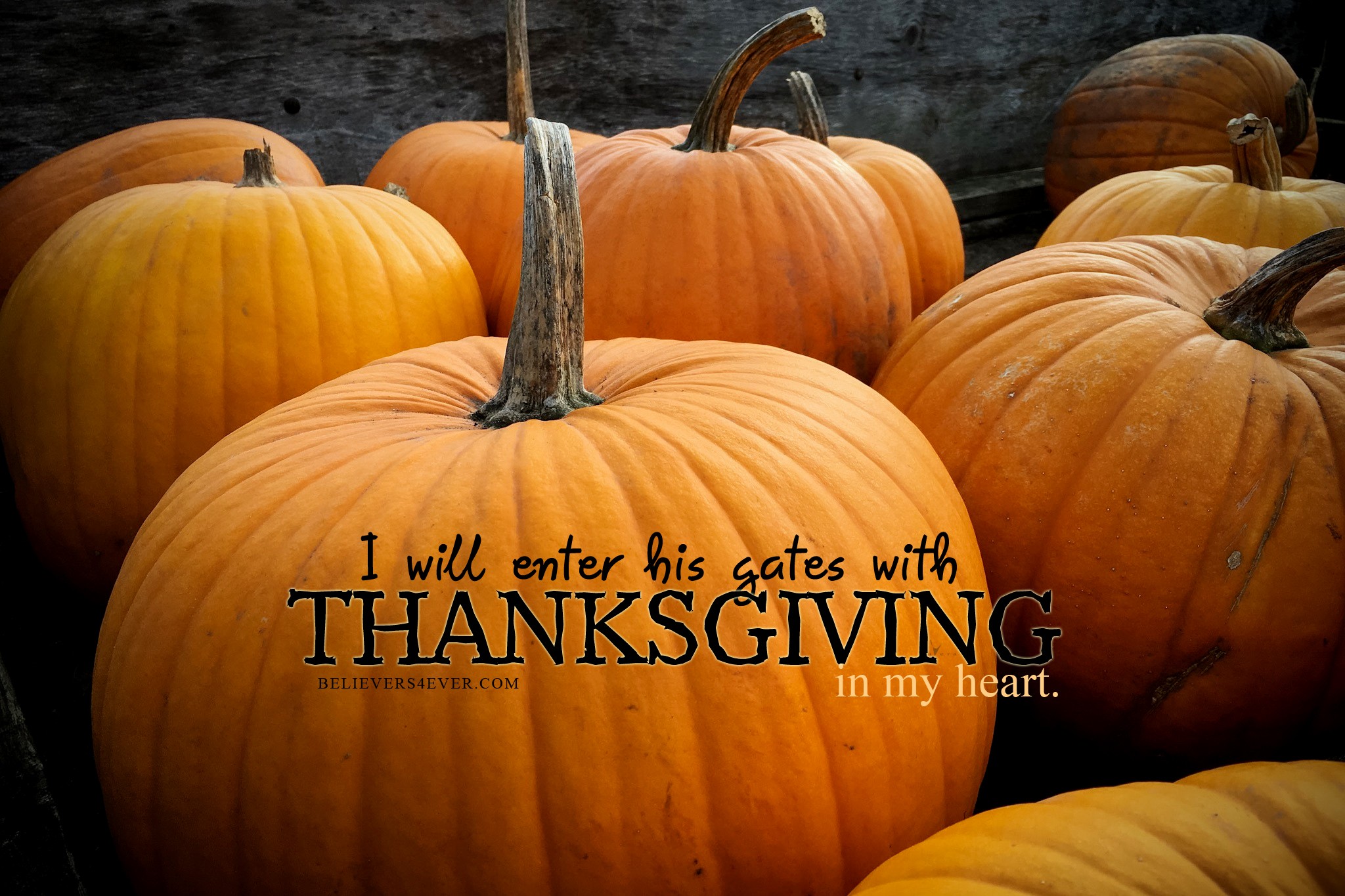 Thanksgiving desktop wallpaper ·① Download free cool ...