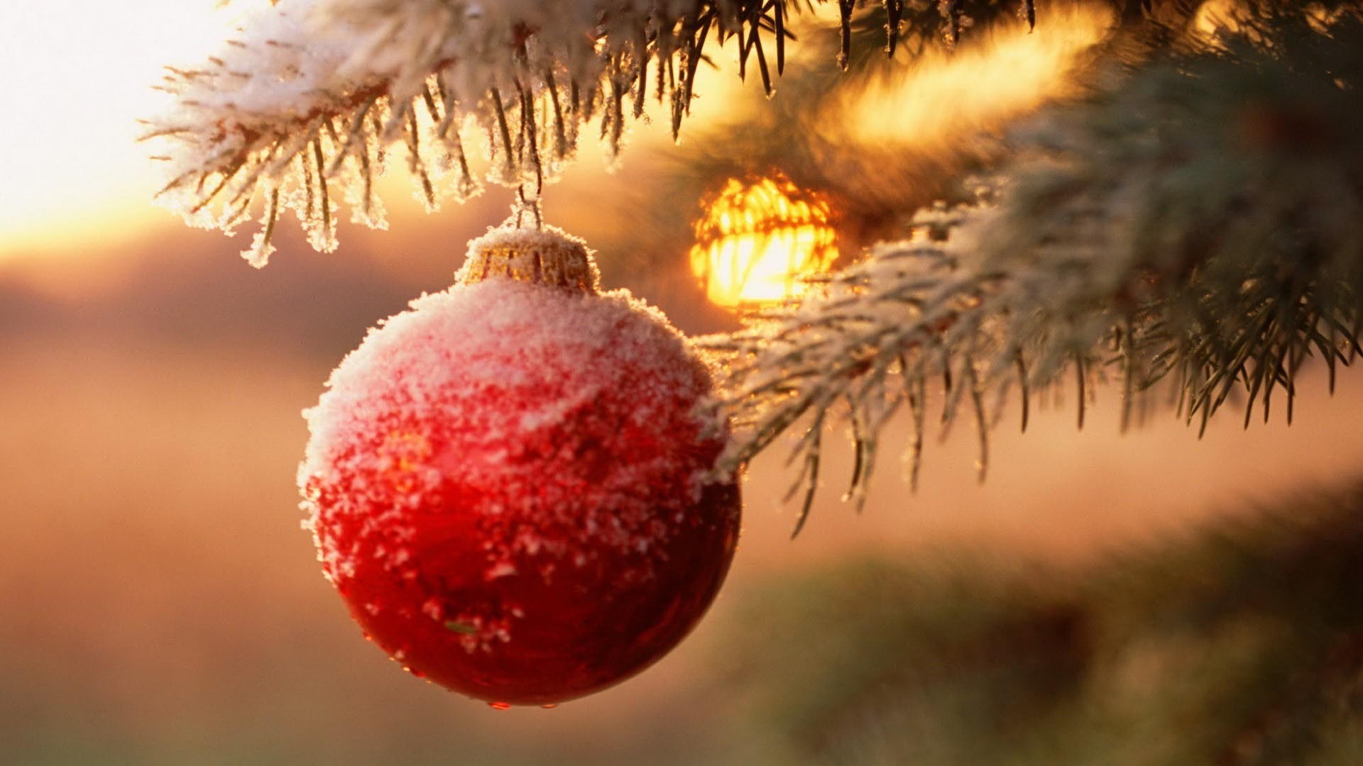 Christmas wallpaper Tumblr ·① Download free amazing wallpapers for