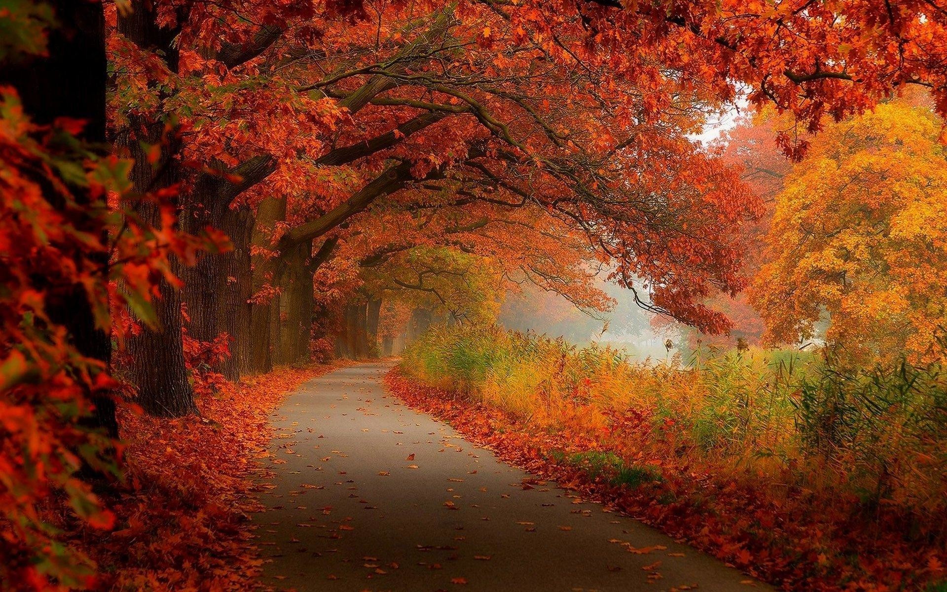 beautiful fall scenery wallpaper