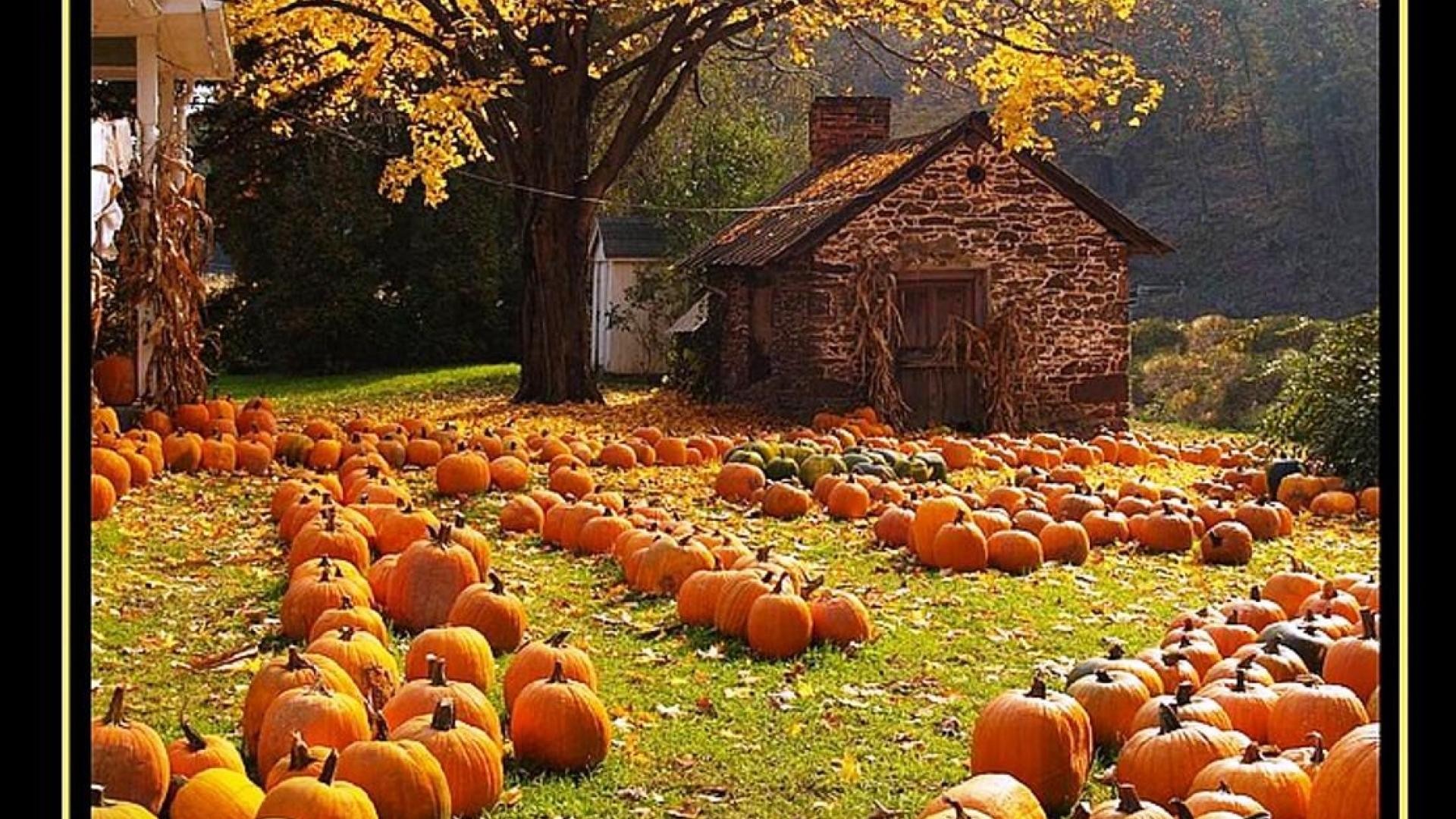 Fall Harvest wallpaper ·① Download free amazing HD ...