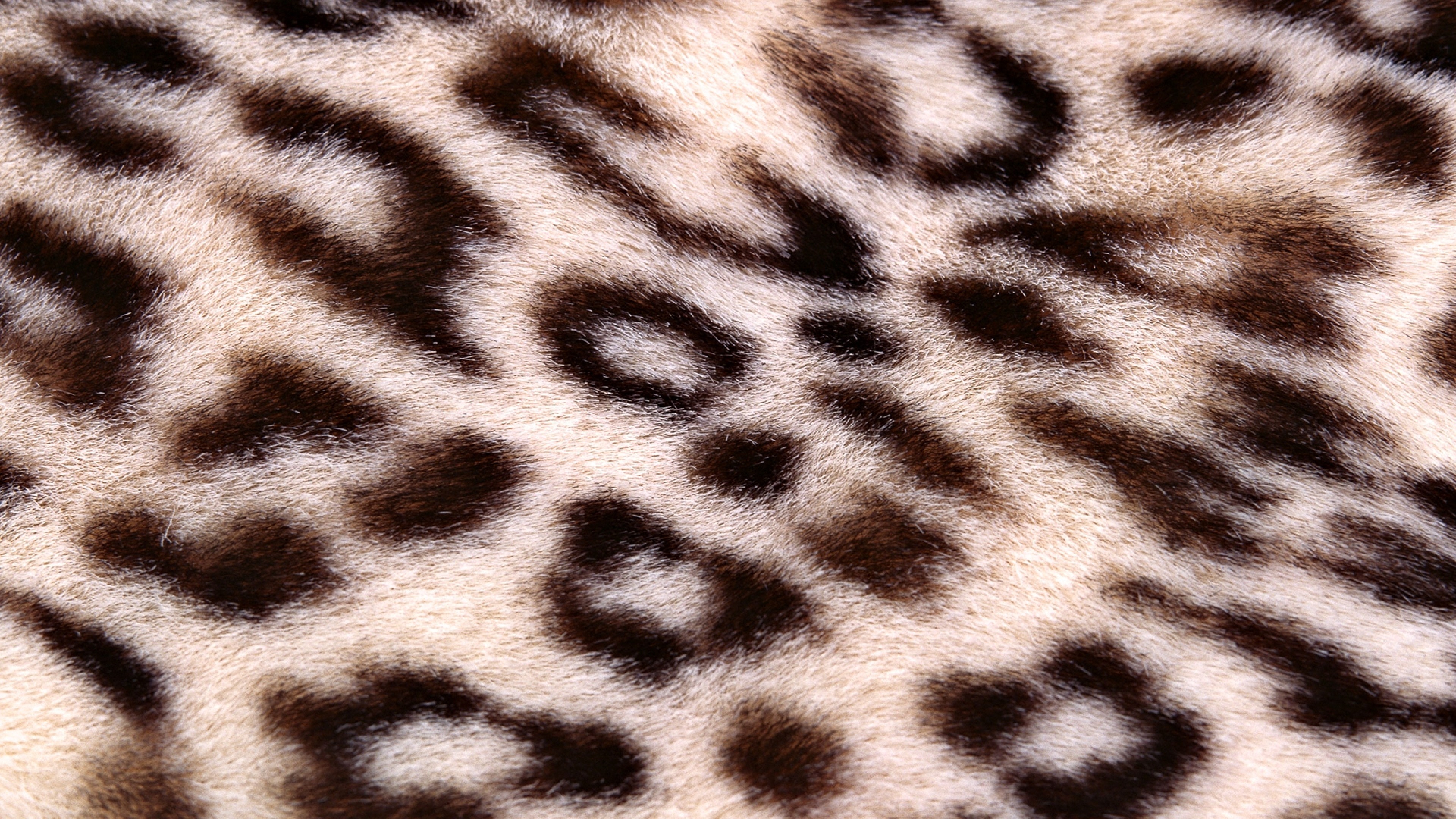 Пестрая шкура. Текстура шкуры животных. Леопардовая шерсть. Пятнистый фон. Мех леопарда.