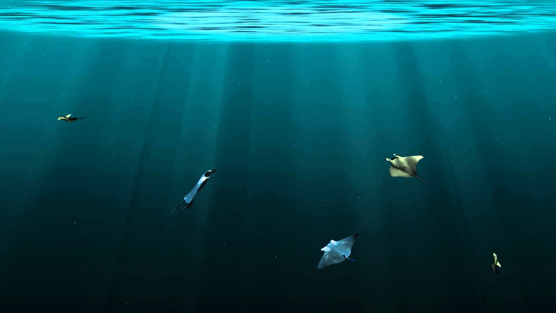 Under Water Background ·① WallpaperTag
