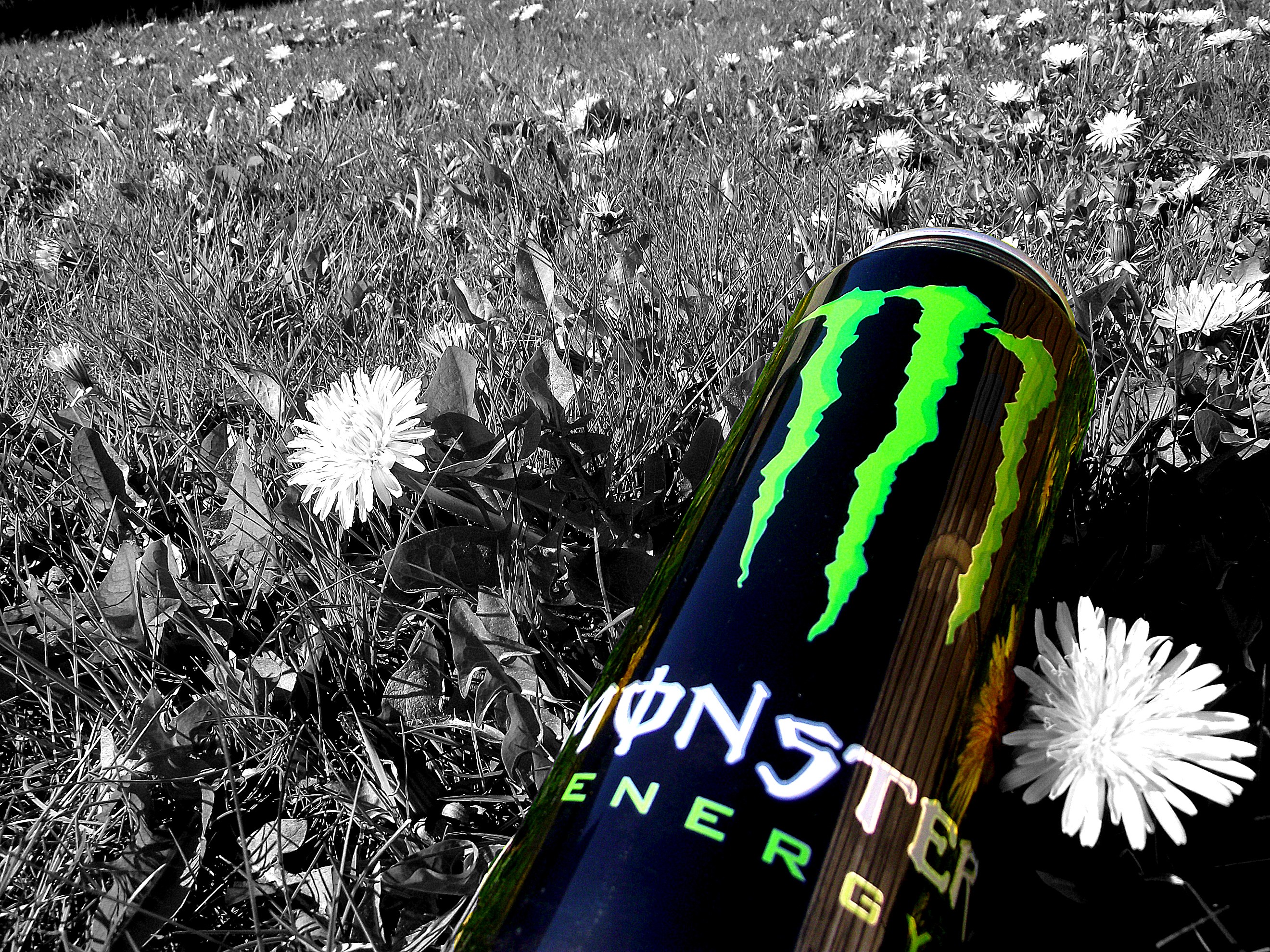 Monster Energy wallpaper ·① Download free cool HD ...
