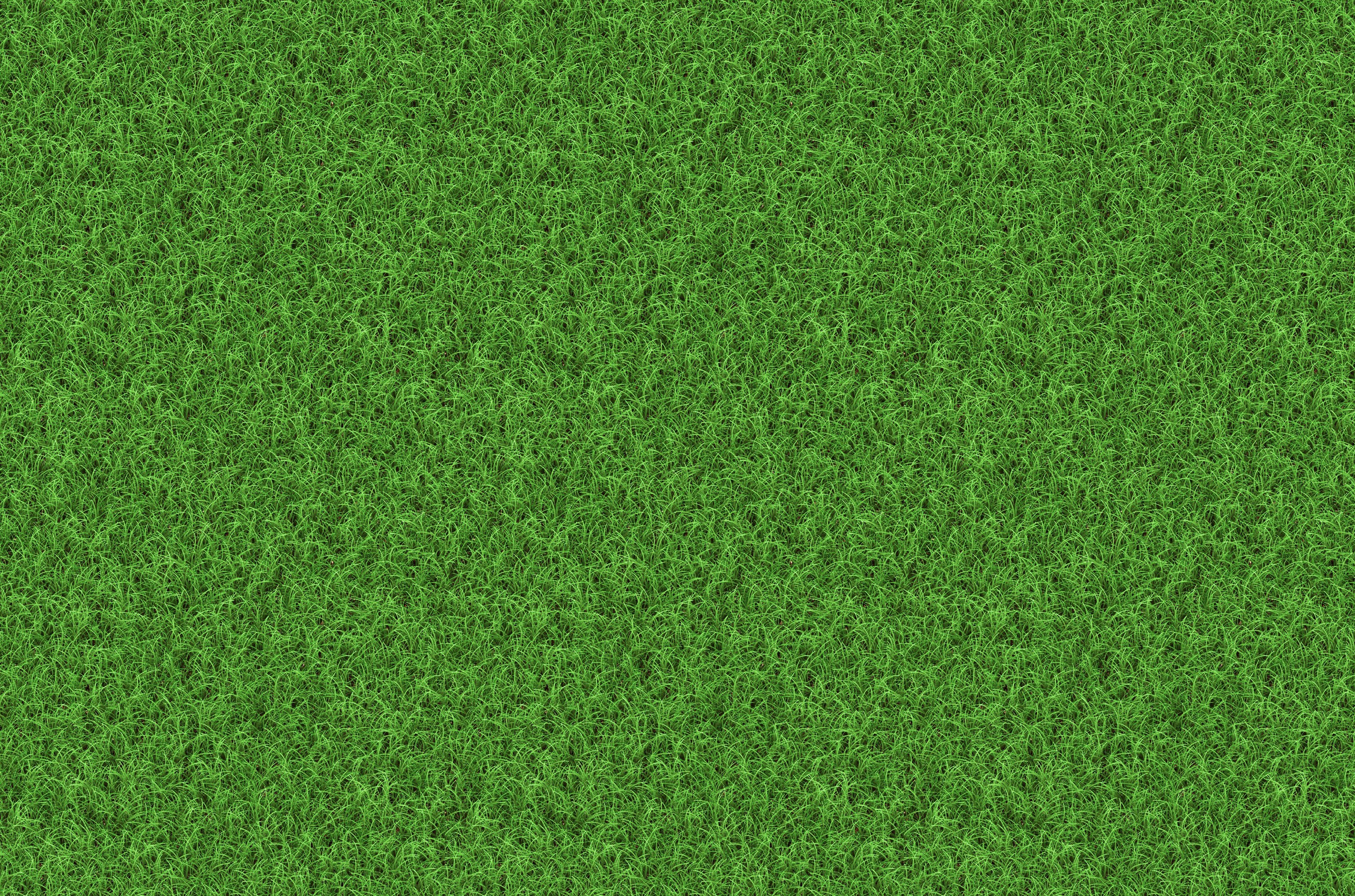 Grass background ·① Download free backgrounds for desktop 