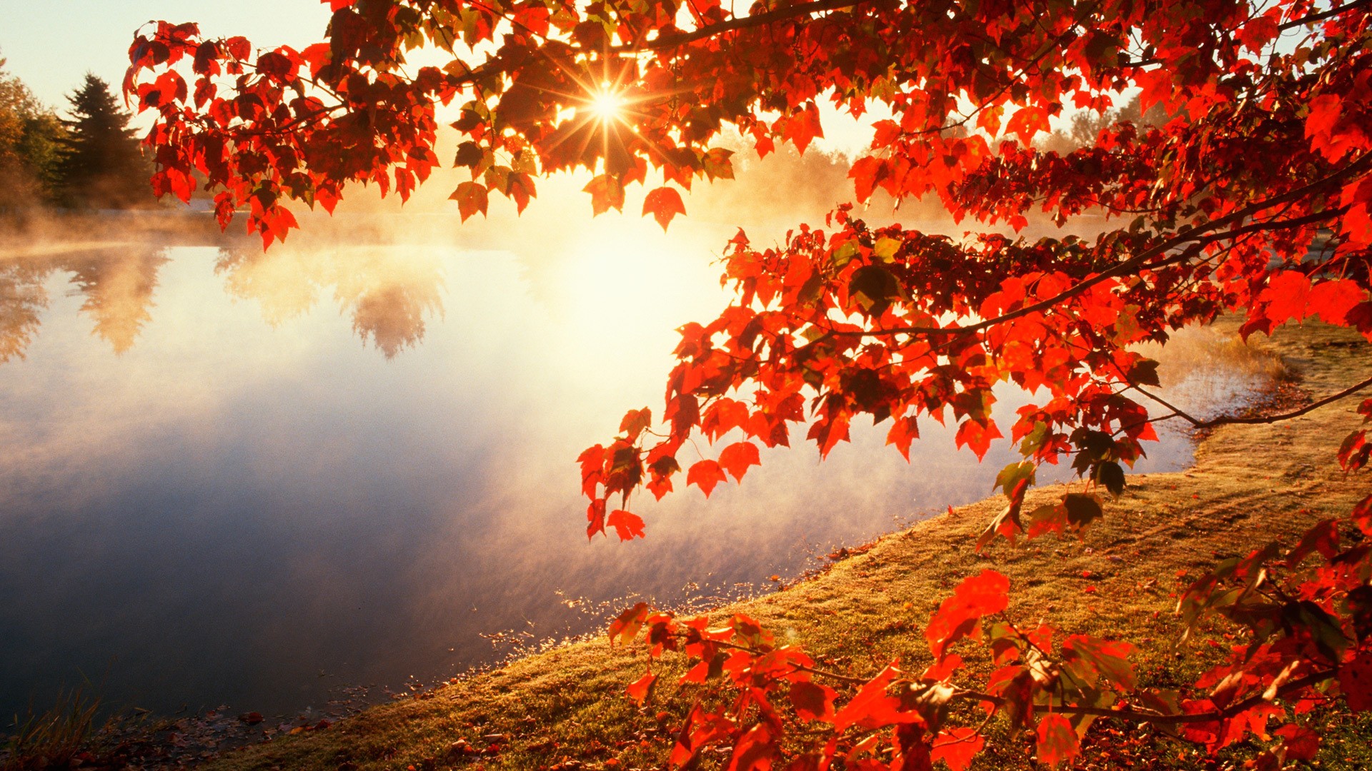 34+ Autumn wallpapers ·① Download free stunning wallpapers