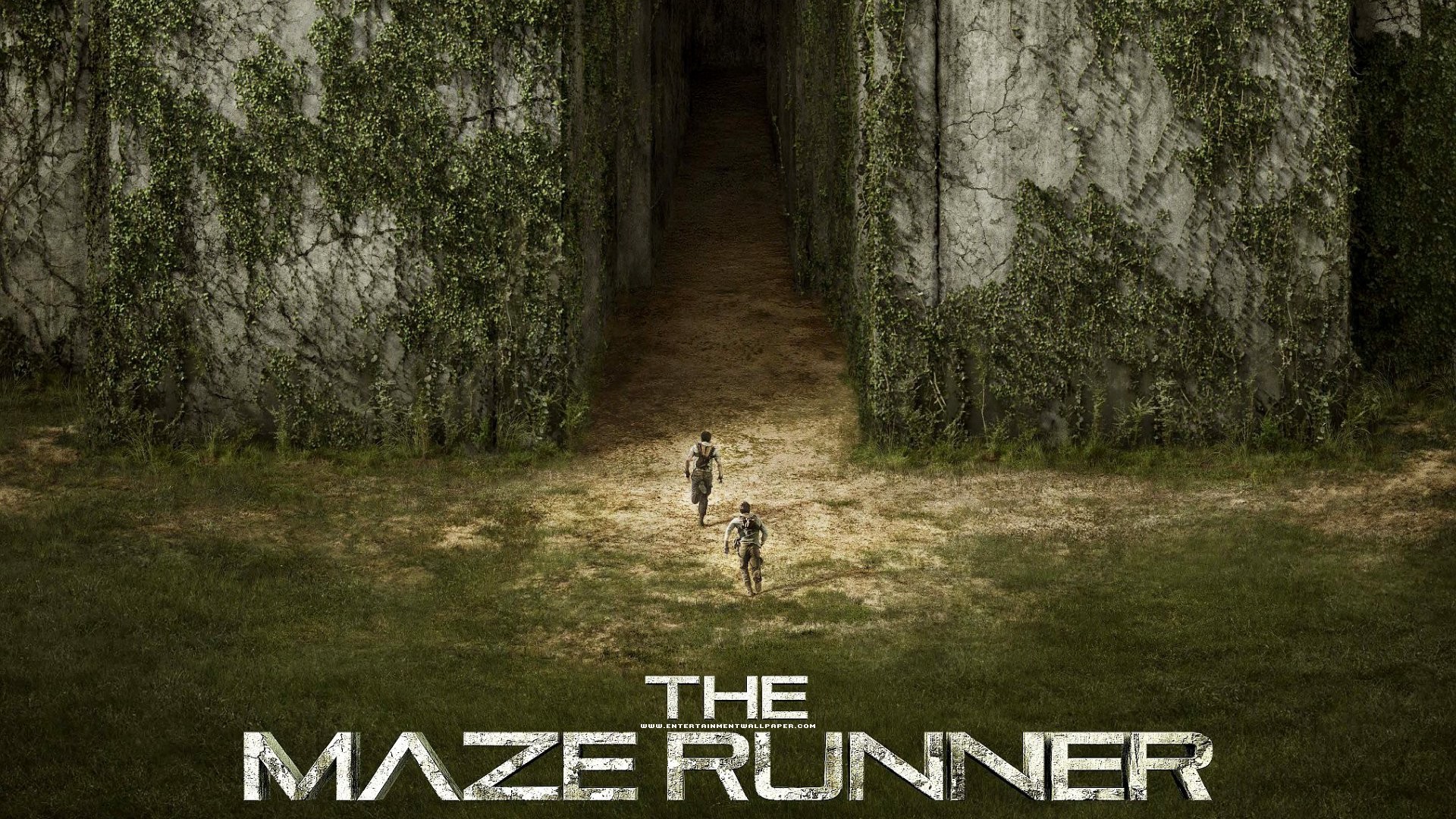 The Maze Runner Wallpapers Wallpapertag Images, Photos, Reviews