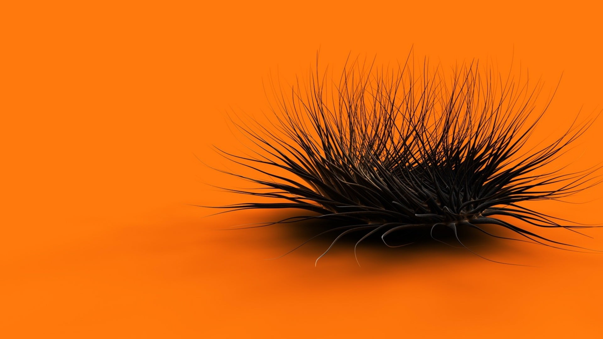  Orange  and Black  background   Download free stunning HD 