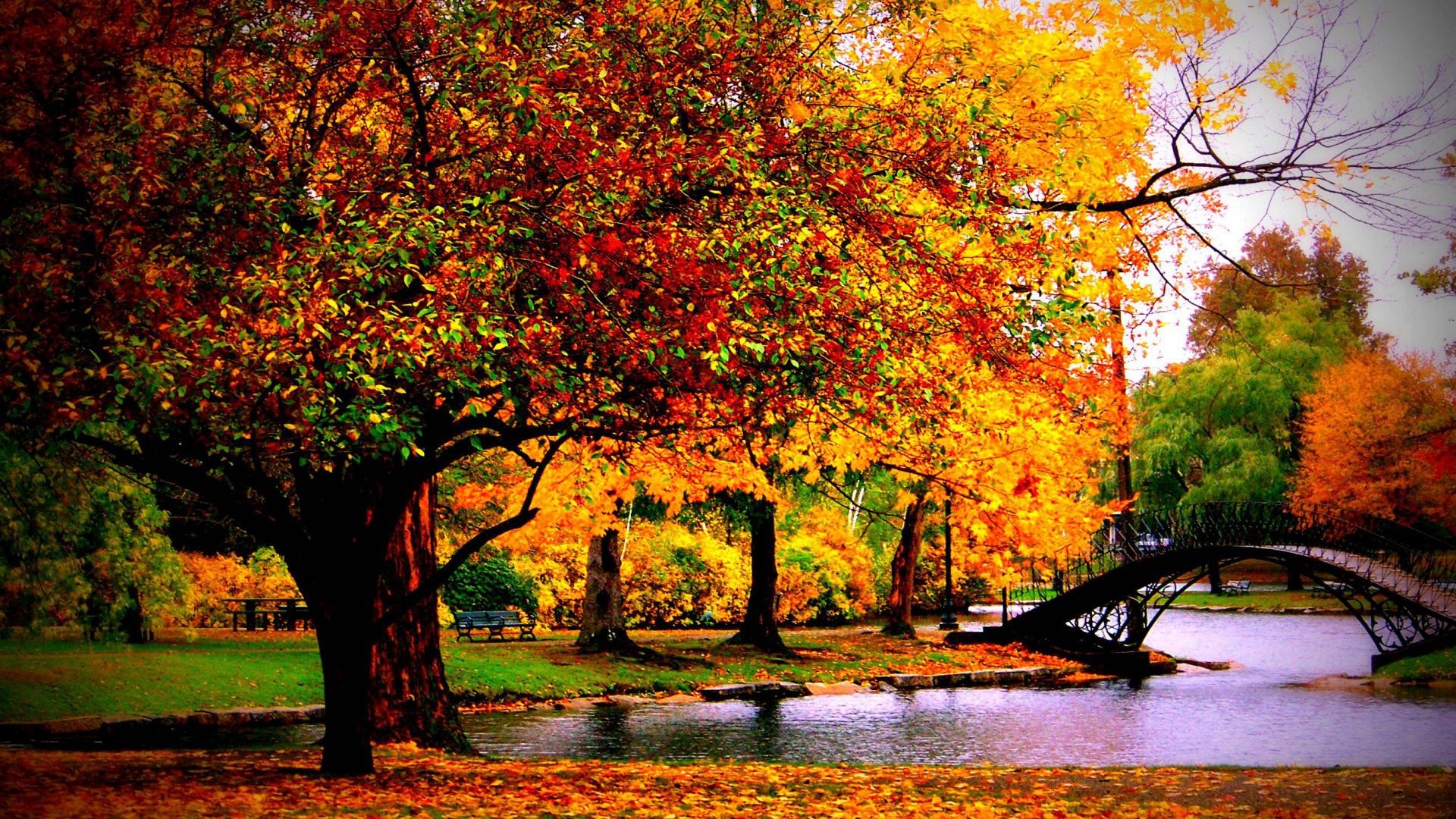 Fall desktop wallpaper ·① Download free awesome High 