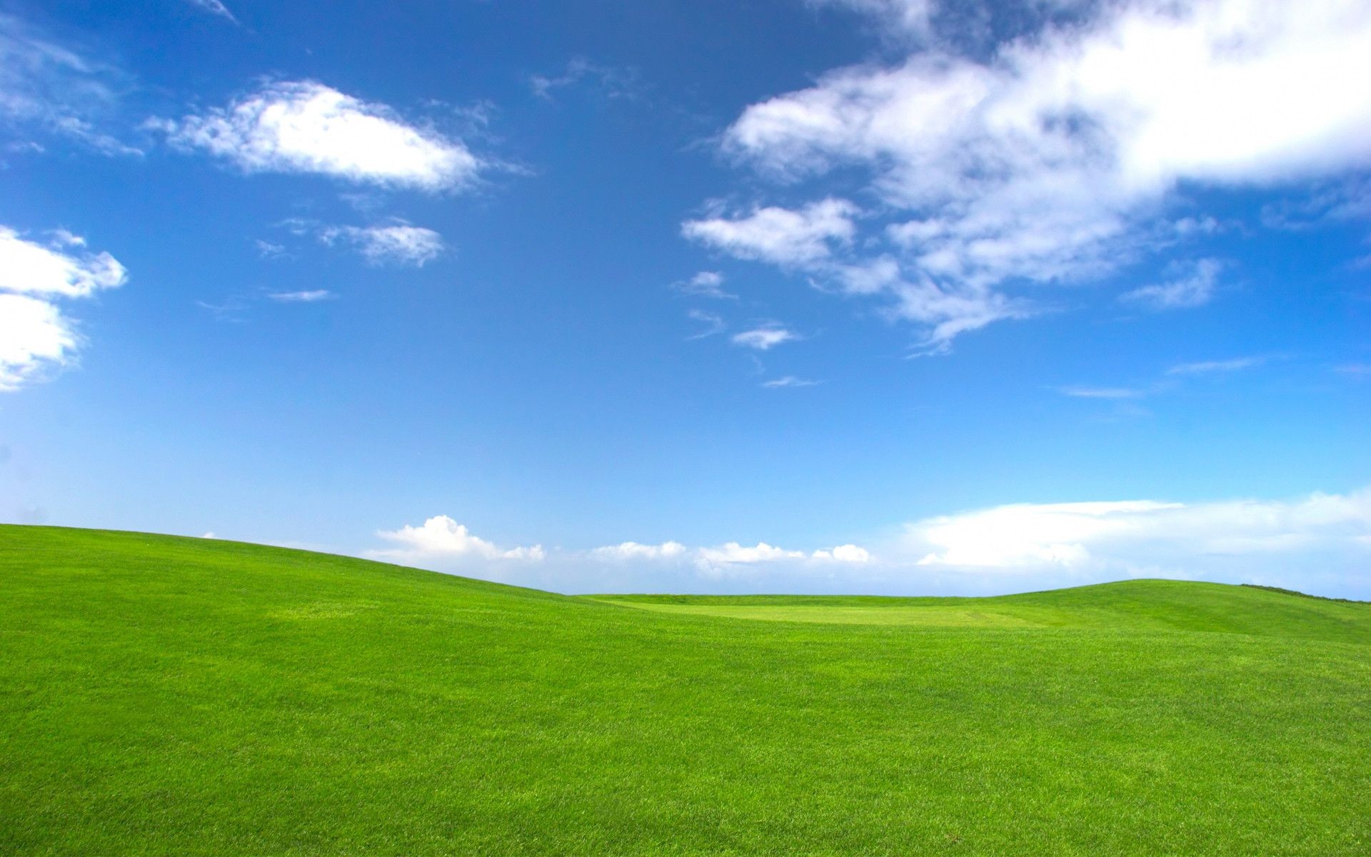 Windows Xp Wallpaper For Android Android Logo Windows 7 HD Wallpapers Wallpaper Cave Due 