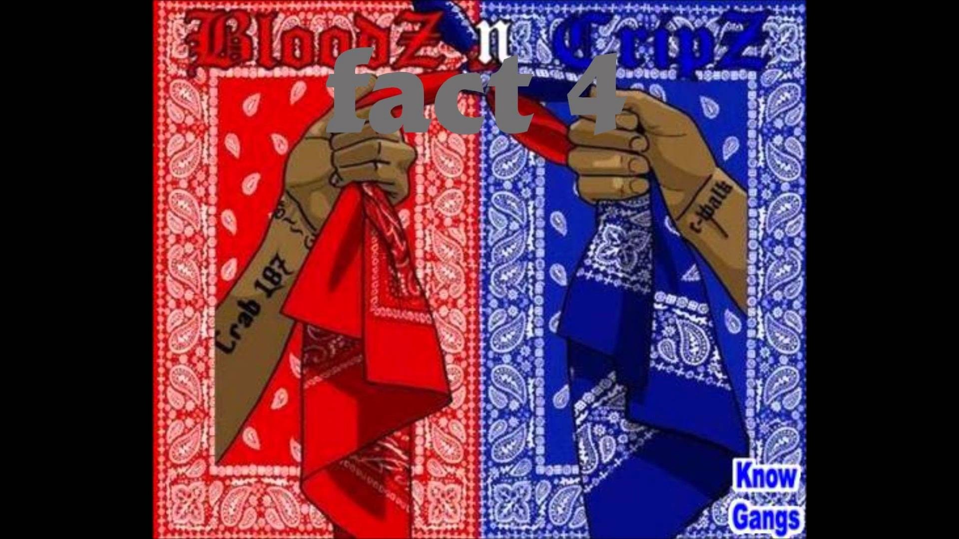 Cripz and Bloodz Wallpaper ·① WallpaperTag