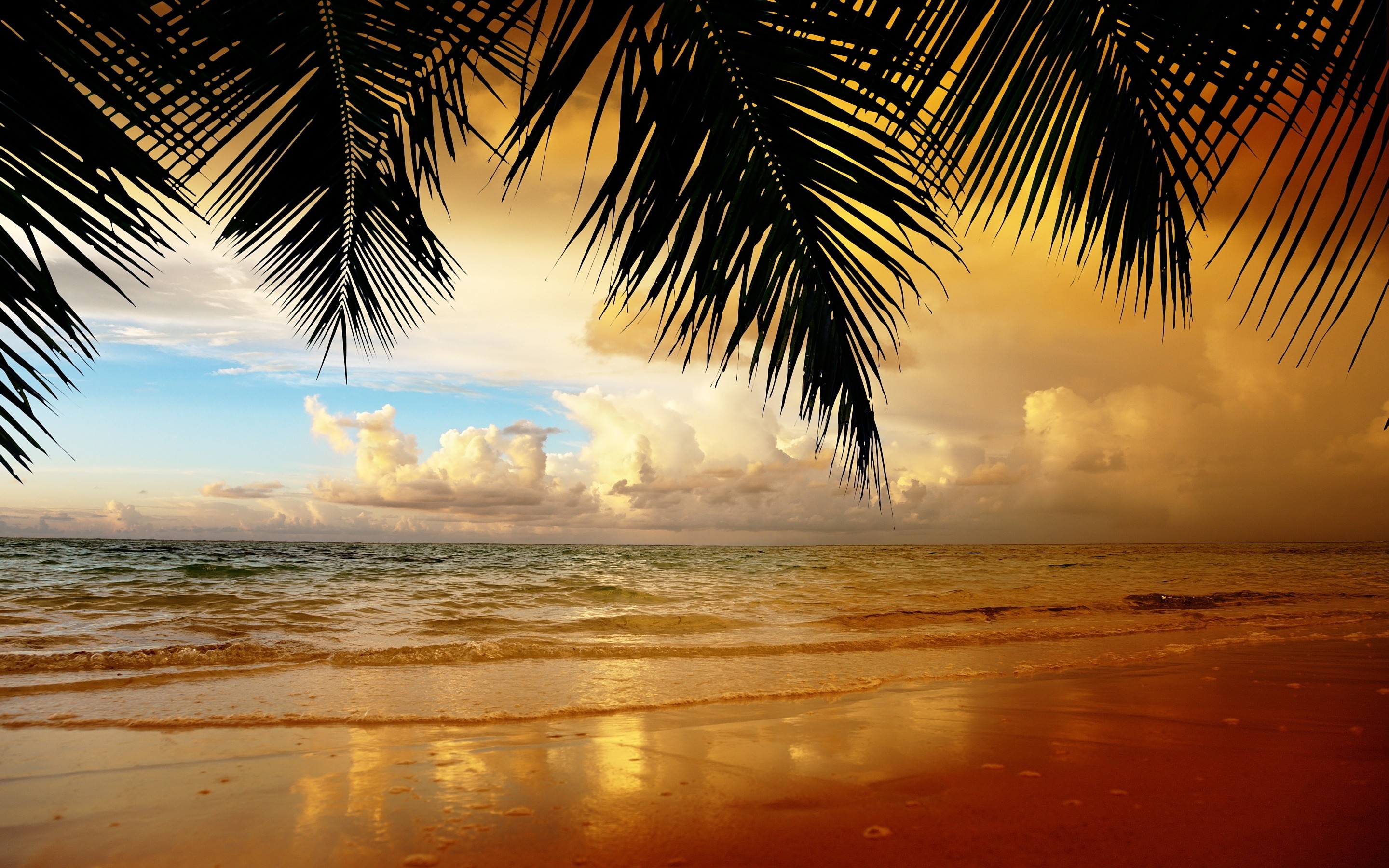  Beach  wallpaper    Download free beautiful HD backgrounds 