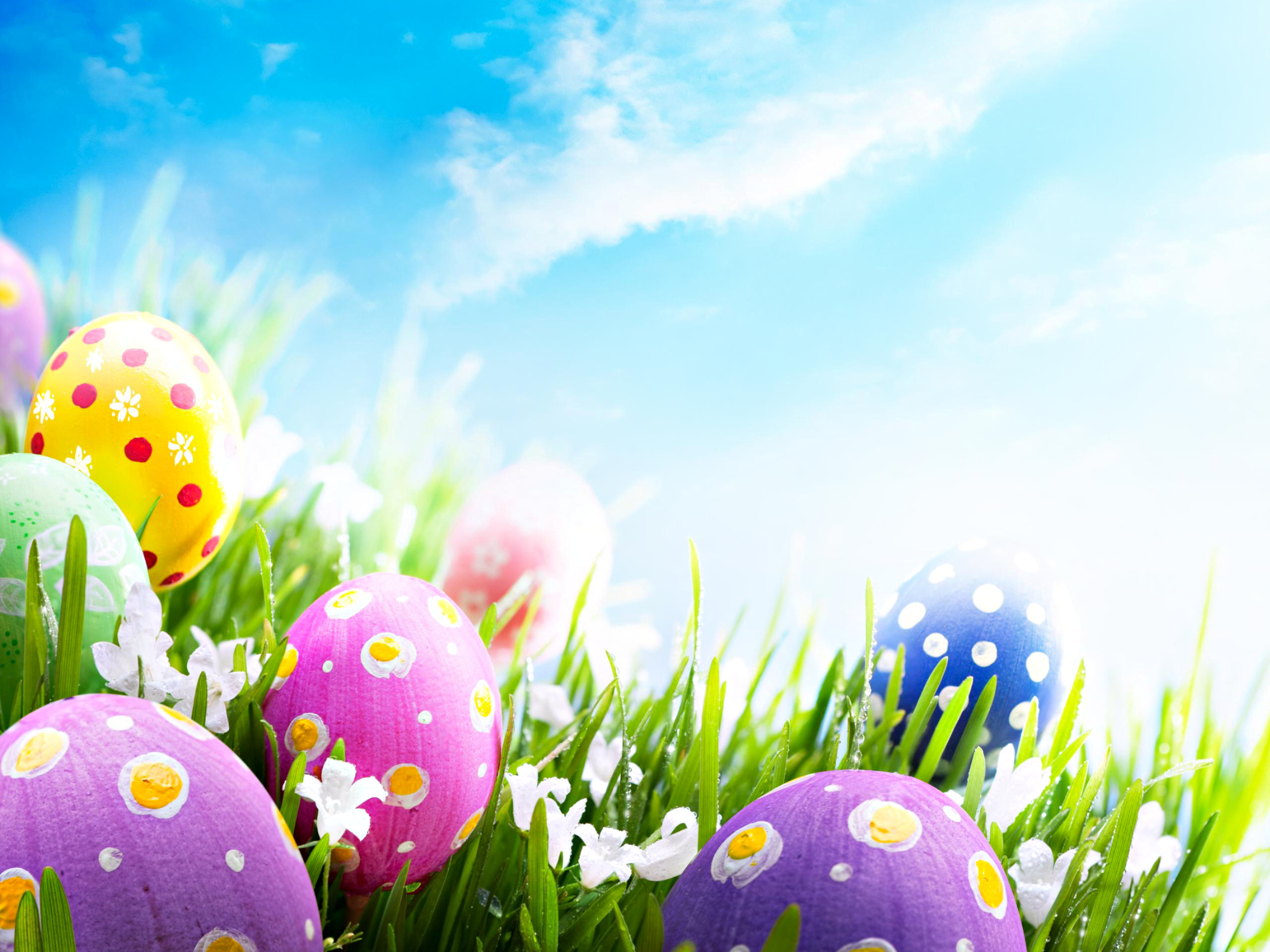 Easter Pictures Wallpaper Background ·① WallpaperTag