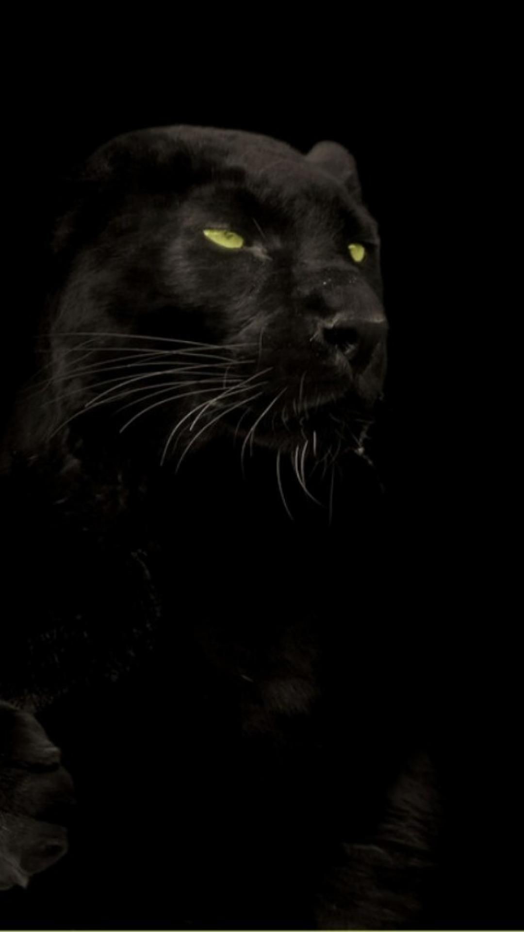 Black Panther download
