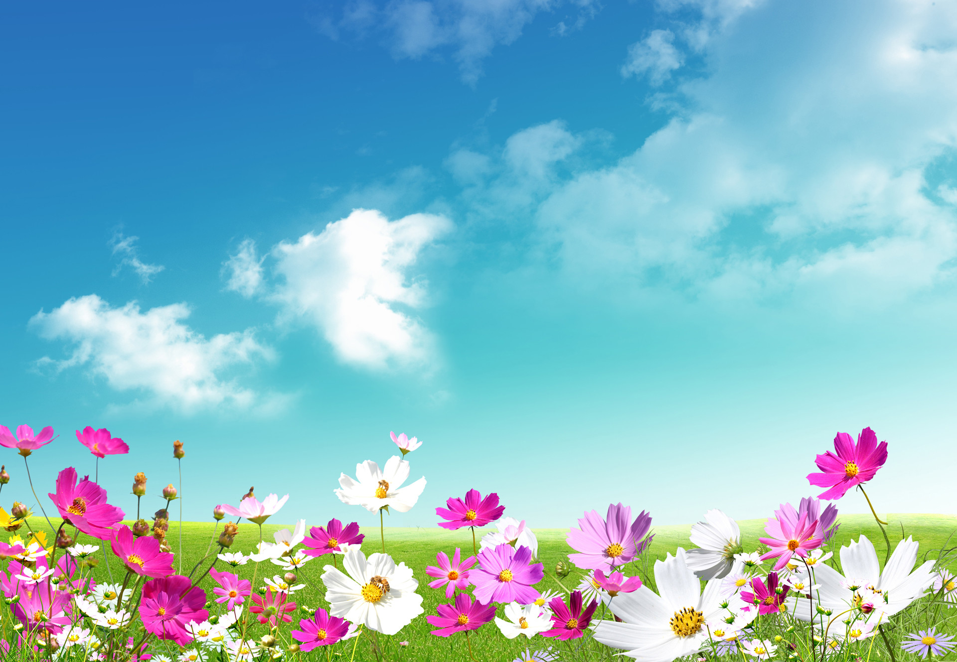 Spring Scenes Wallpaper ·① WallpaperTag