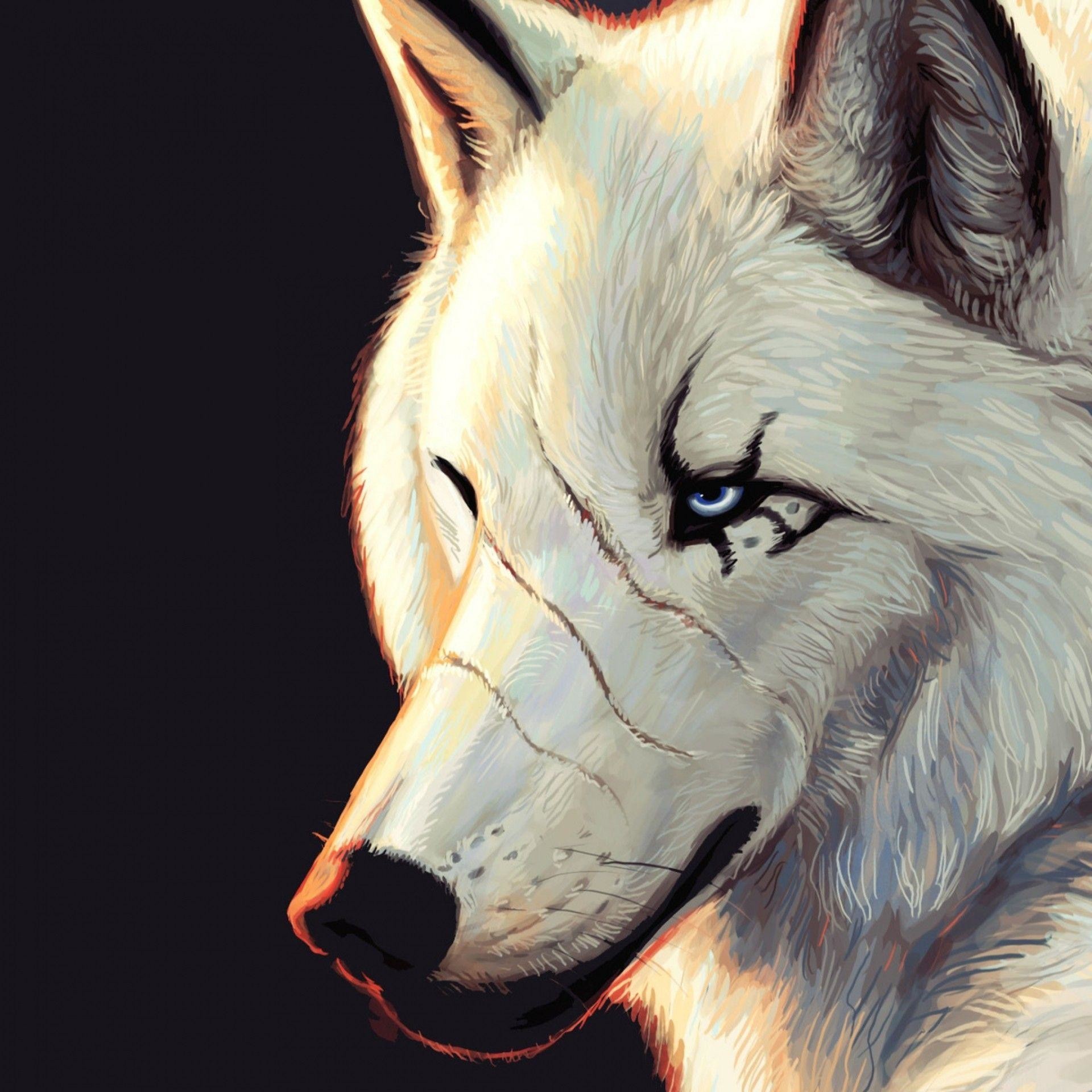 Cool Wolf Backgrounds ·① WallpaperTag