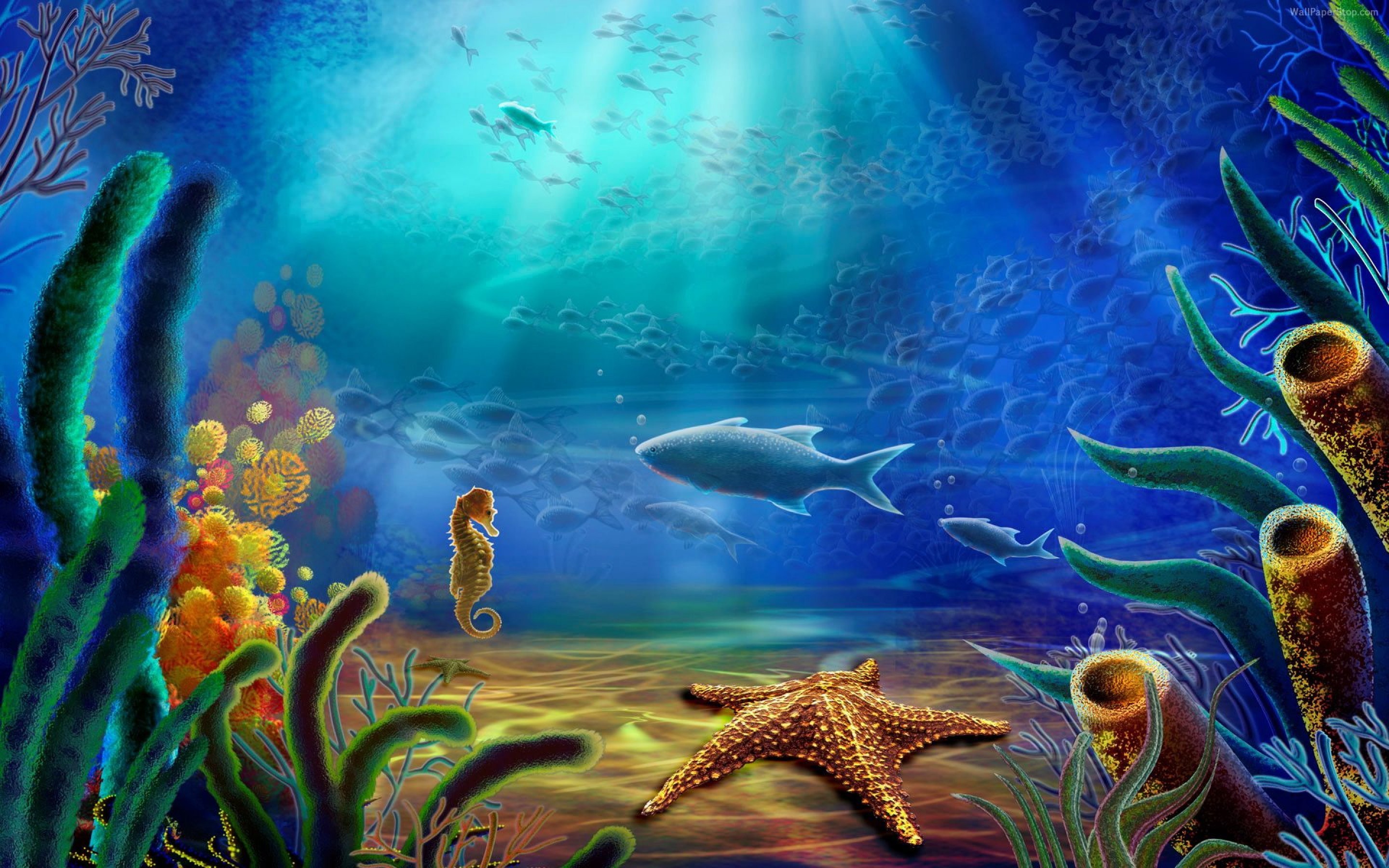 Under the Sea background ·① Download free stunning full HD backgrounds