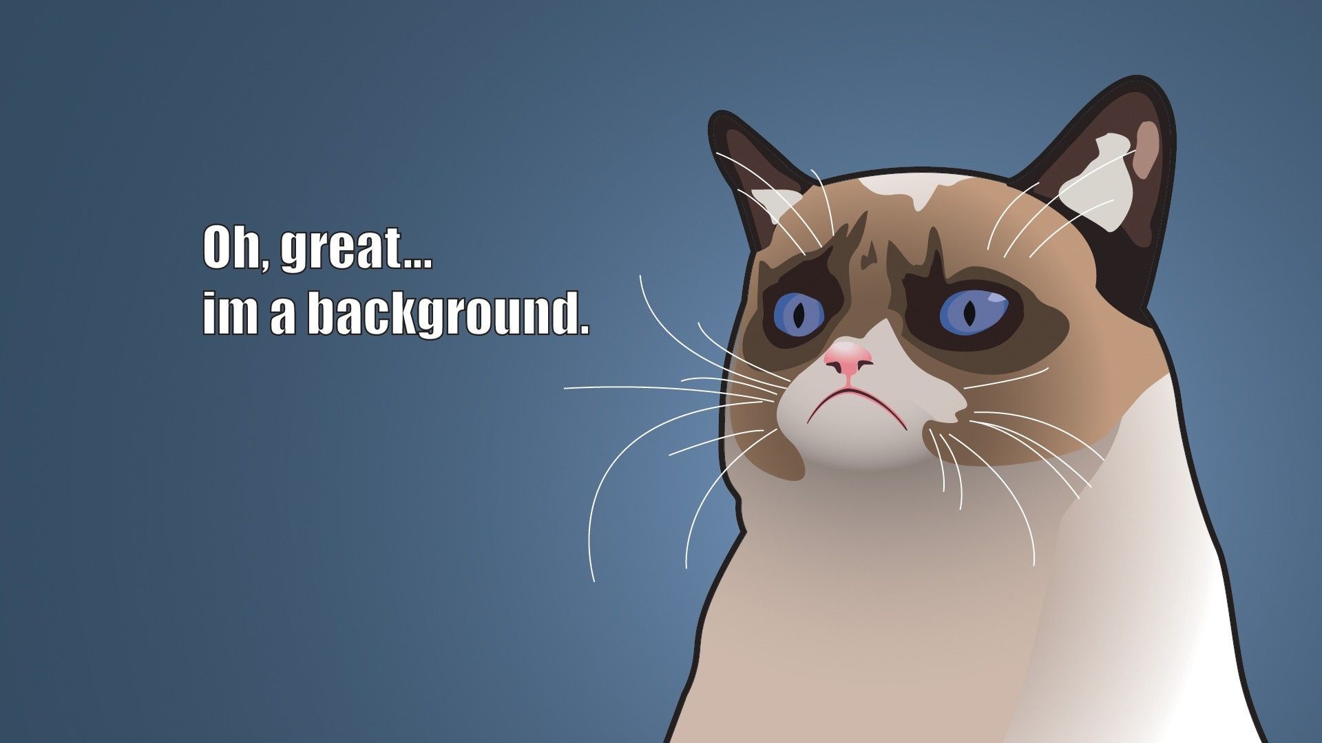 Cute Cat Backgrounds ·① WallpaperTag