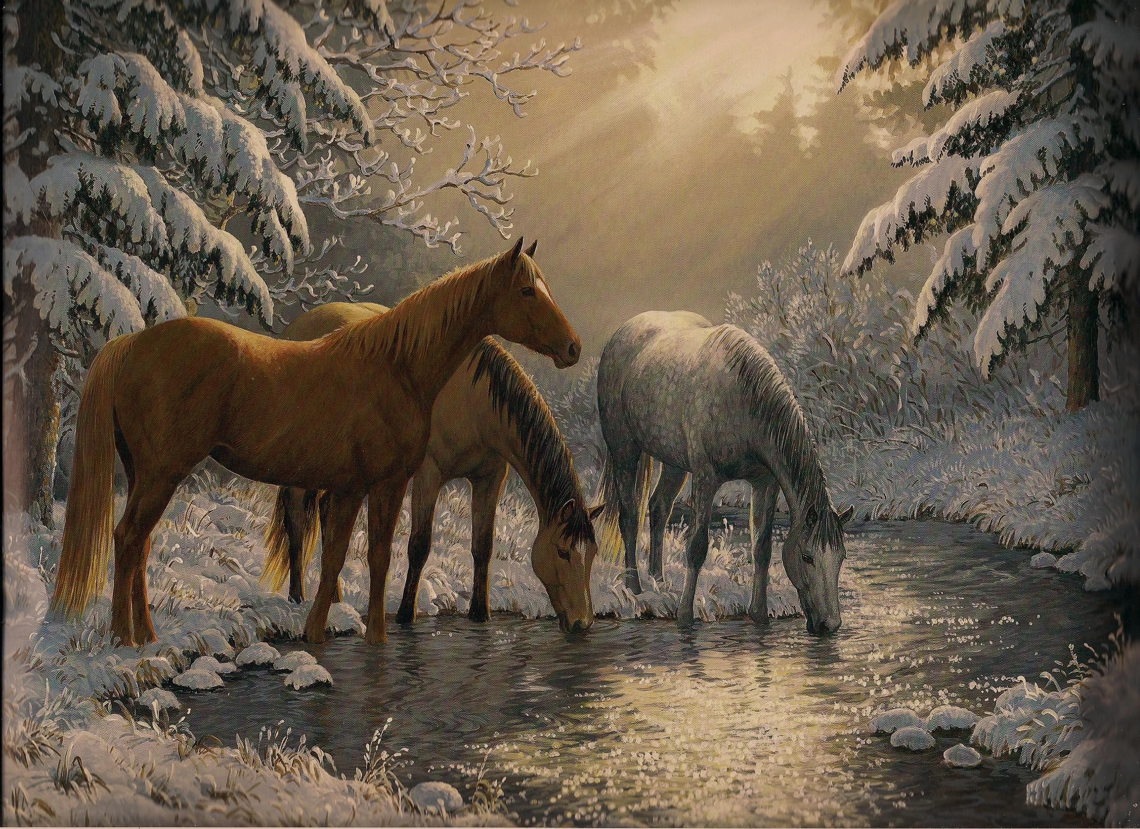 Лошади времен года. Persis Clayton Weirs лошади зимой. Зимний пейзаж с лошадью. Пейзаж с лошадьми. Лошади на водопое.