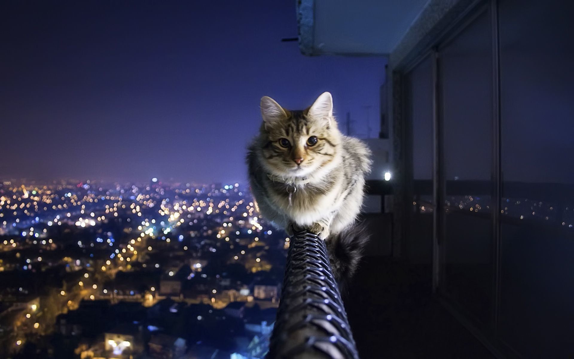 Cool Background Pics ·① WallpaperTag