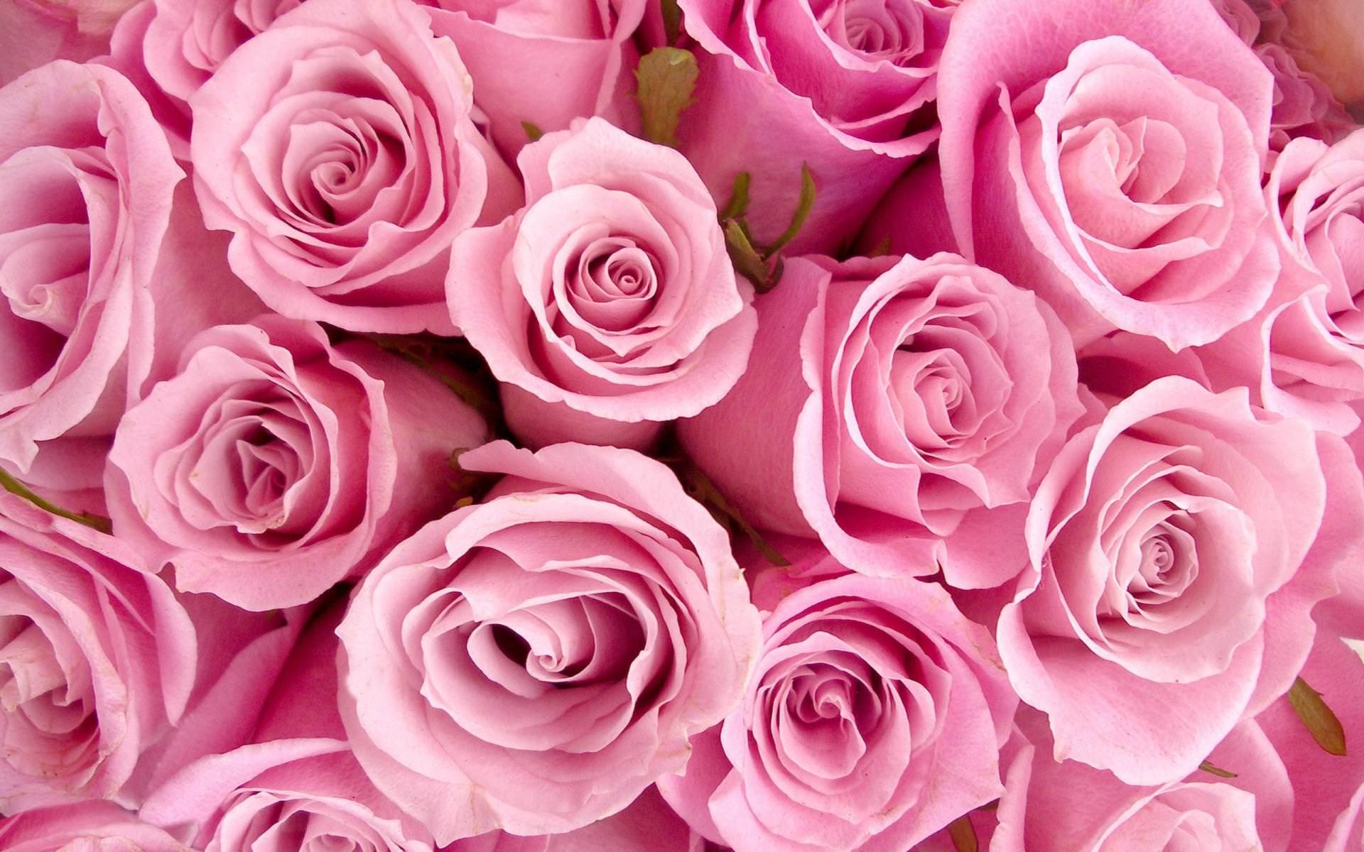 Pink Flowers Background ·①
