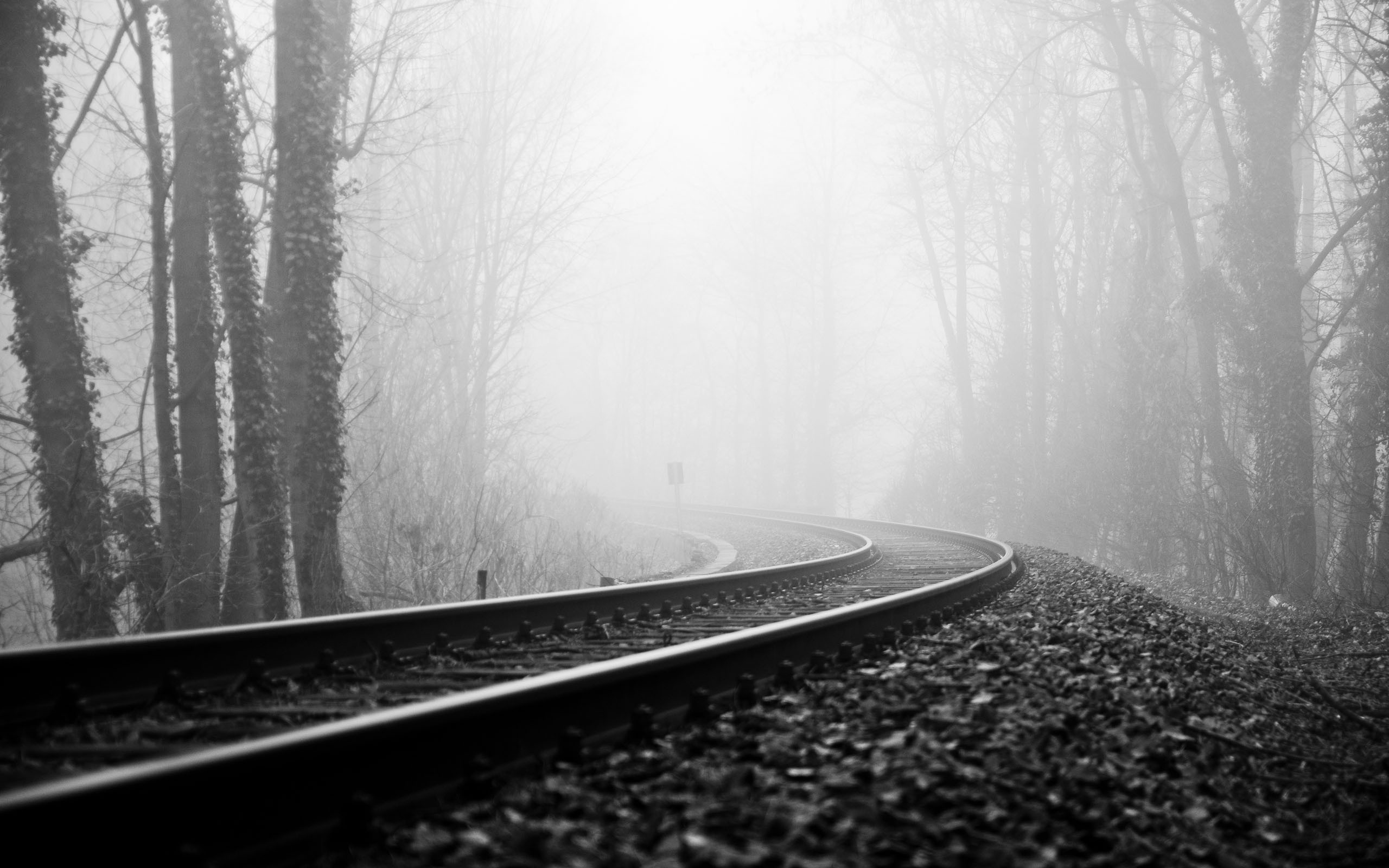 Railway, Foggy forest, Mist, Monochrome, 16:10 2K, widescreen wallpaper