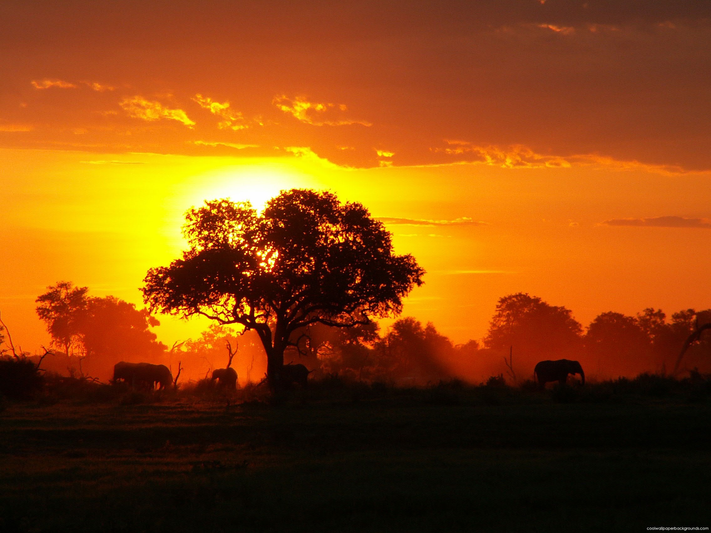 African background ·① Download free stunning wallpapers for desktop, mobile, laptop in any
