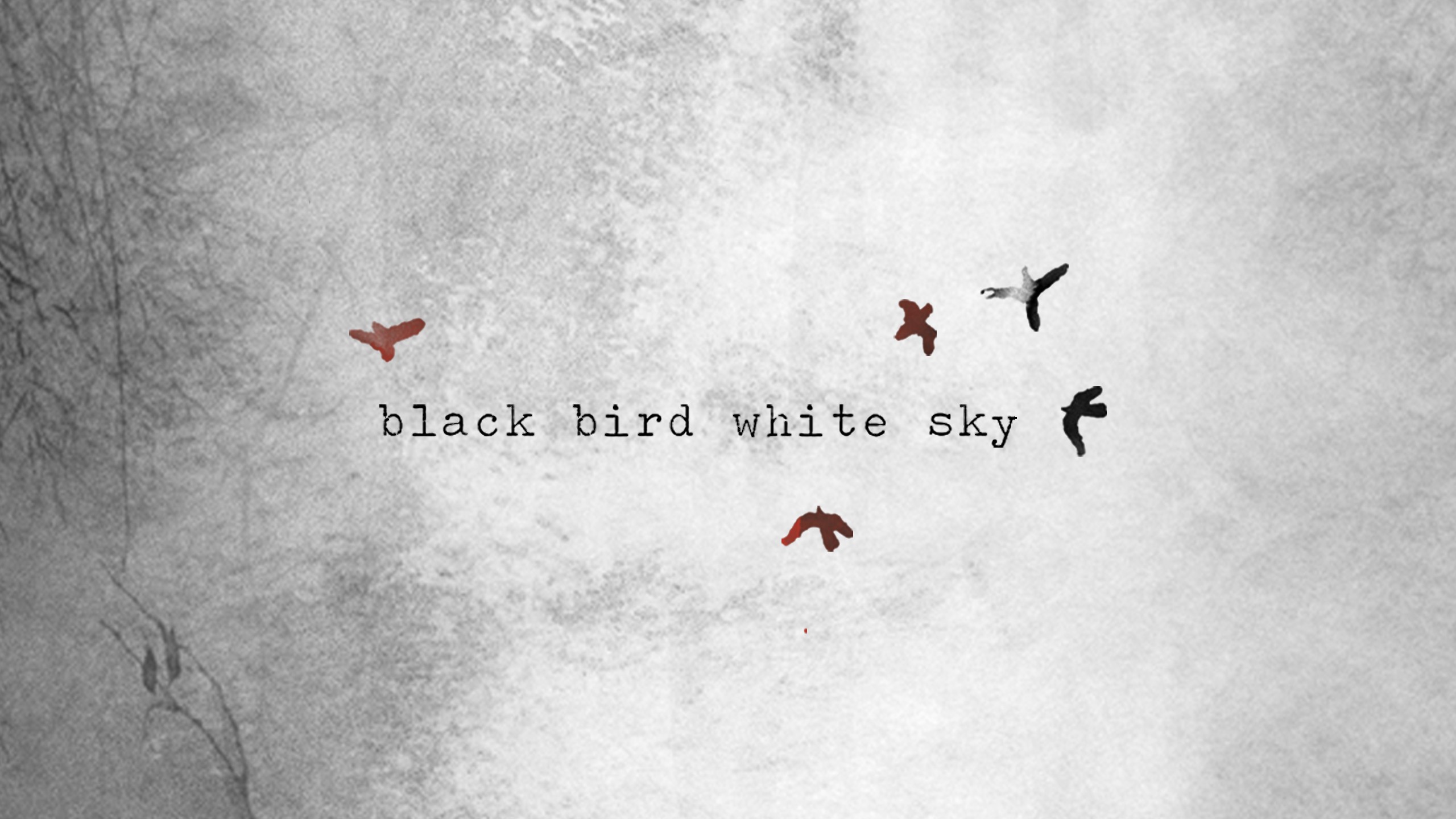 Черные птицы слова