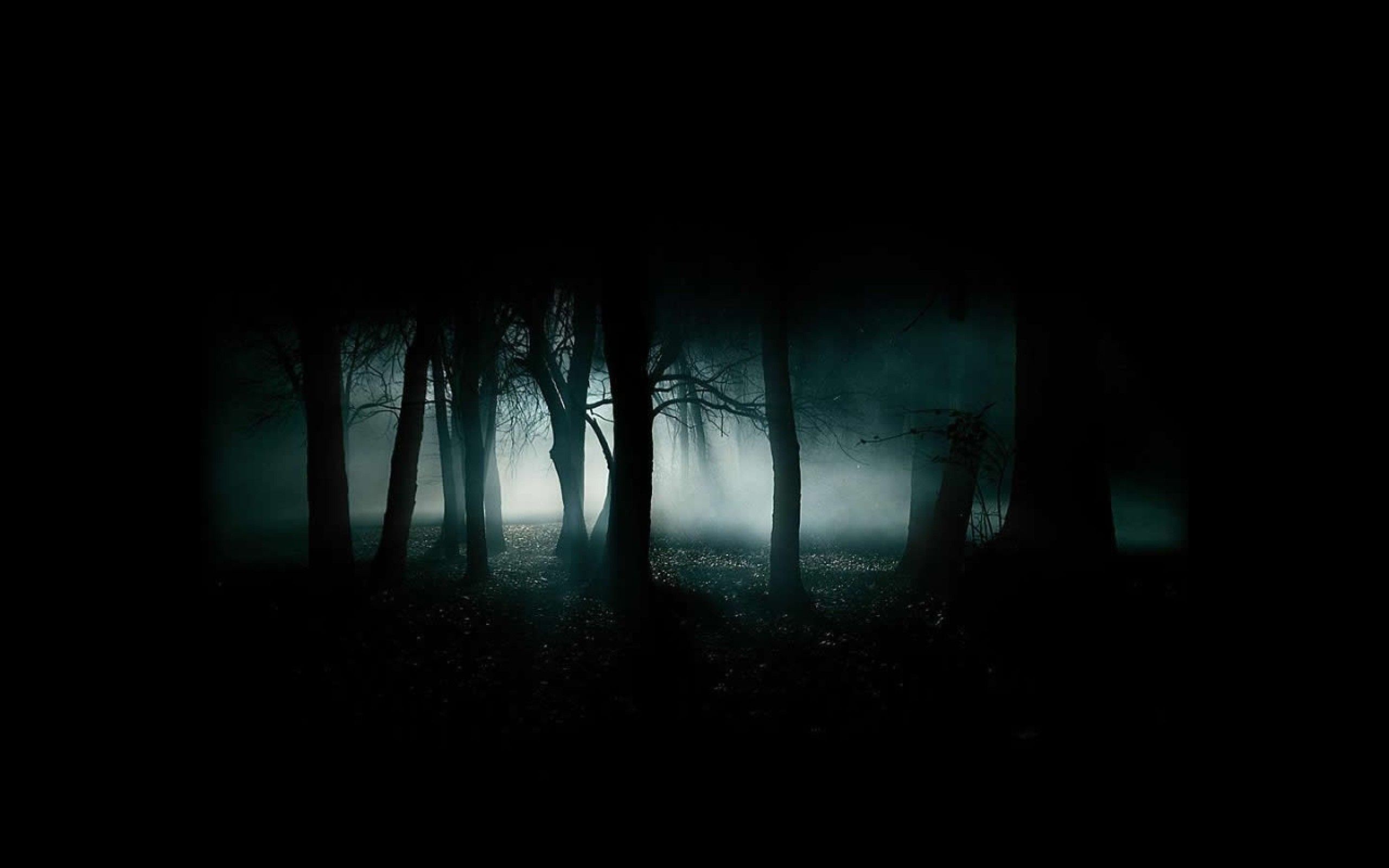 Страшная музыка хоррор. Лес темный страшный. Мрачный фон. Страшные заставки на рабочий стол. Страшный ночной лес.