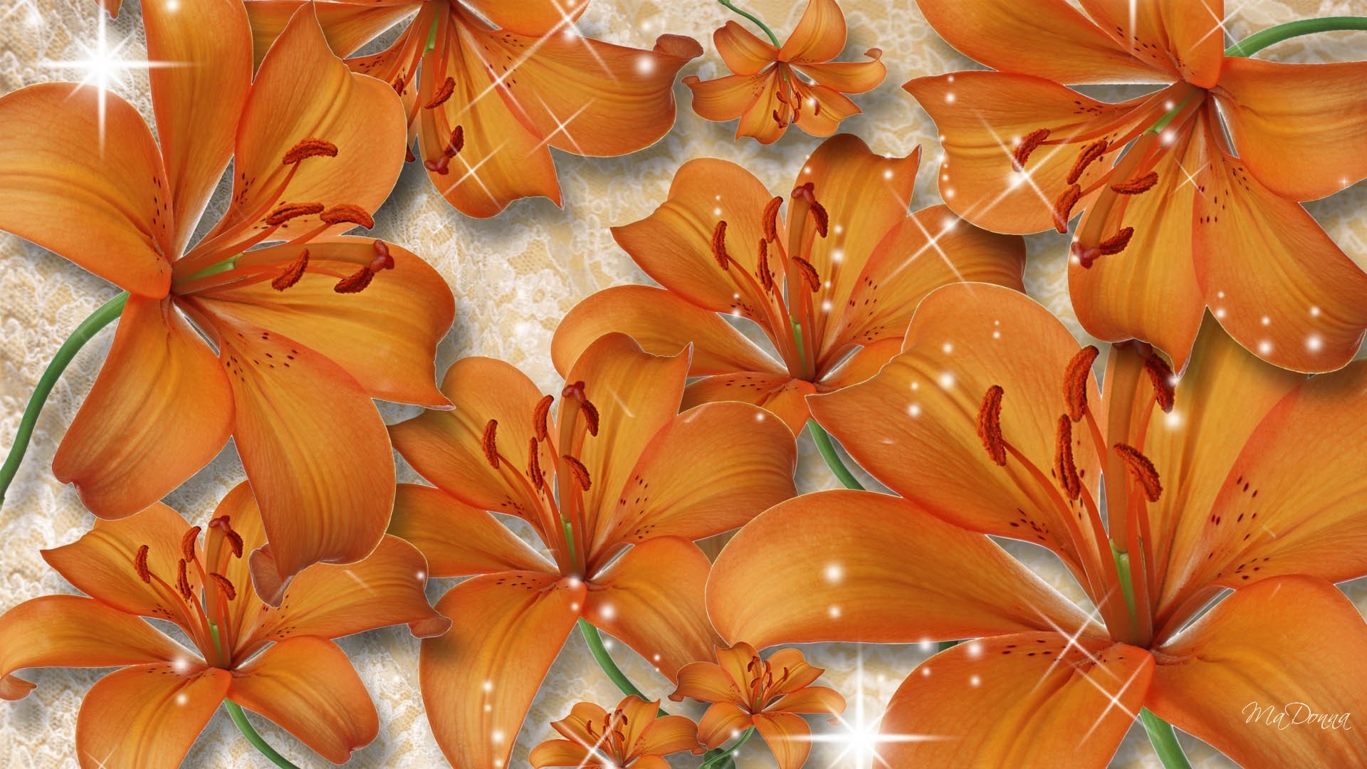 Tiger Lily Wallpaper.