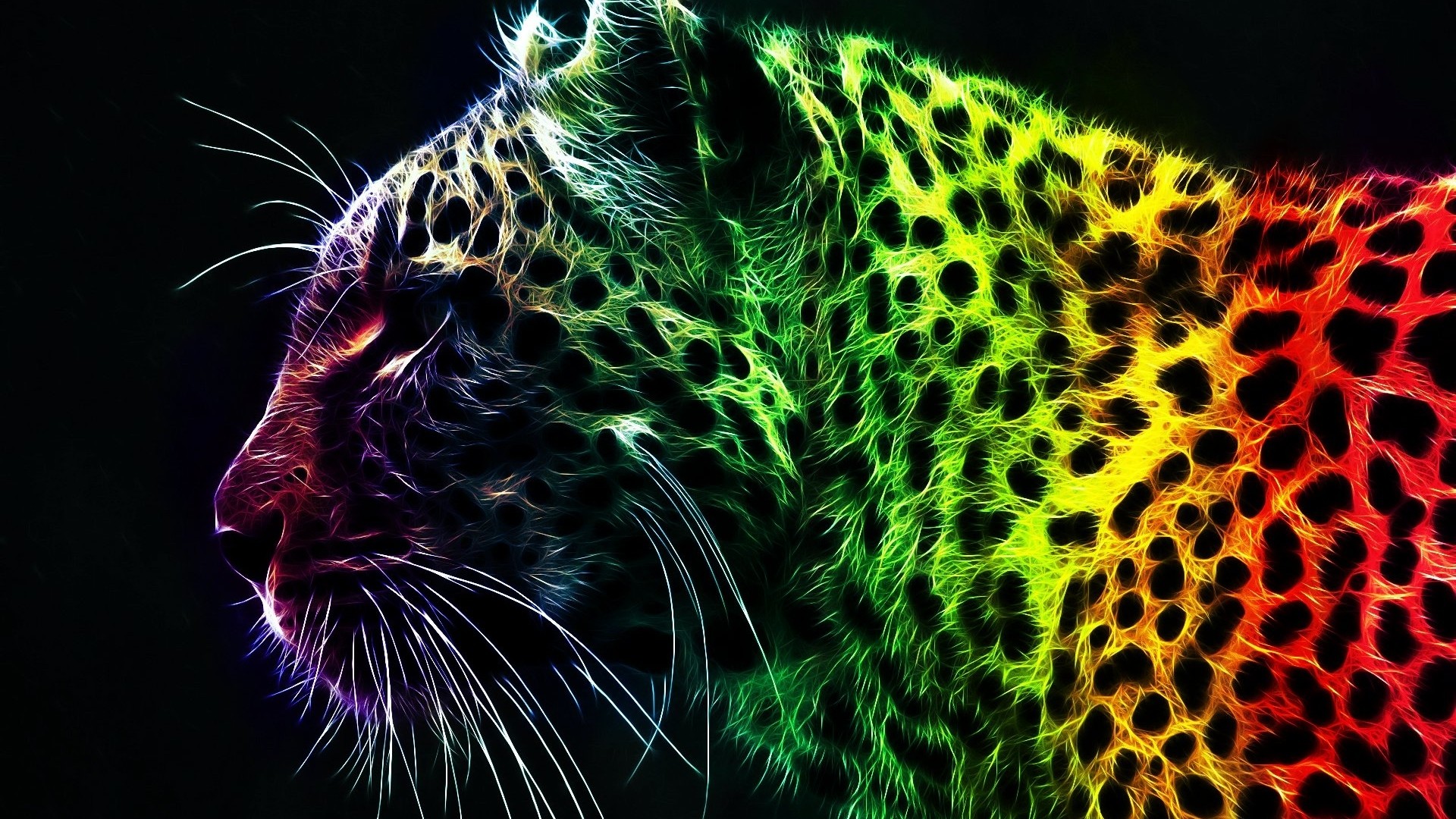 Colorful Tigers