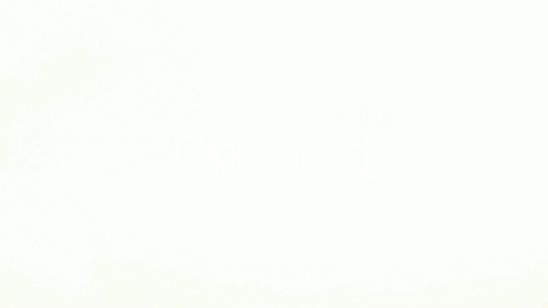 White Background Download Free Full HD Wallpapers For Desktop White Background Download Free Full HD Wallpapers For Desktop