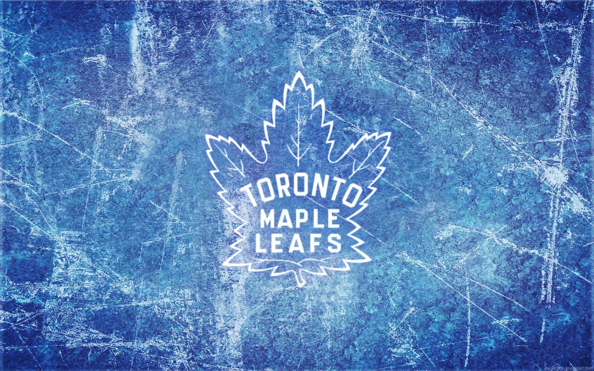 Maple leaf Wallpapers HD Get the Newest Collection of Maple leaf 
