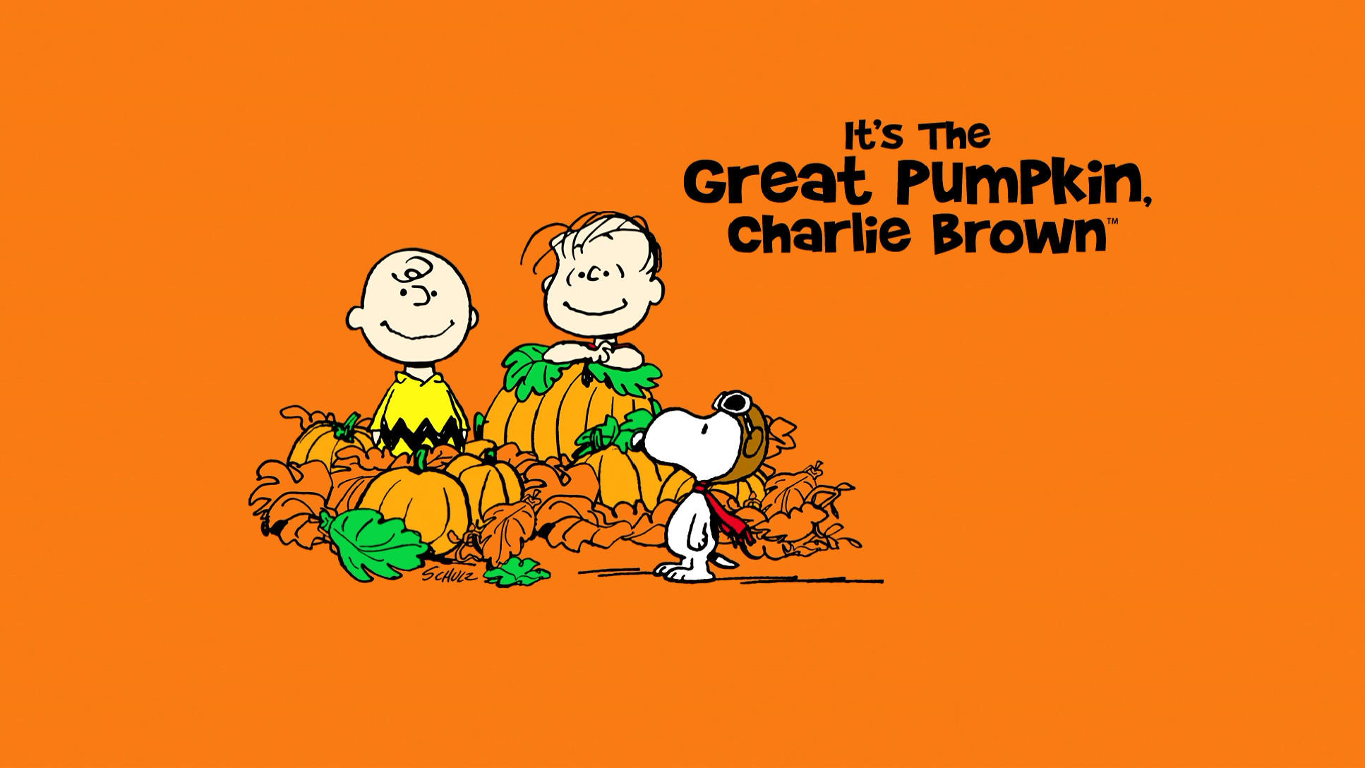 Great Pumpkin Charlie Brown Wallpaper ·① WallpaperTag