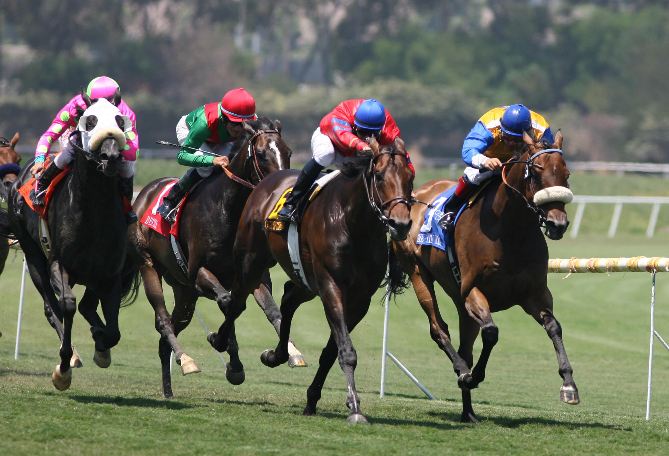 betting horse racing strategy