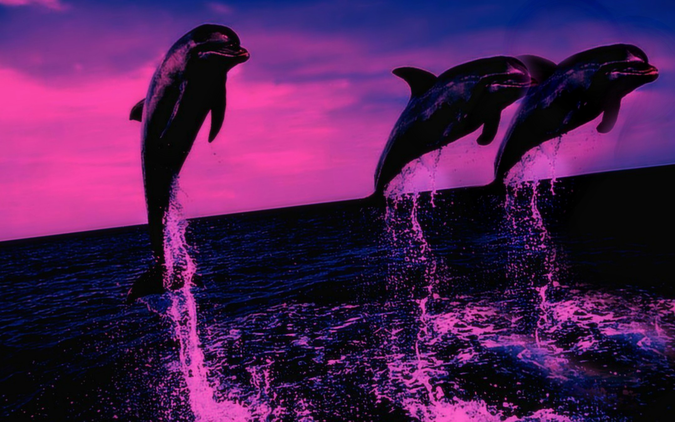 Живые плавающие обои. Красивые дельфины. Обои с дельфинами. Живые дельфины. Обои на рабочий стол дельфины.