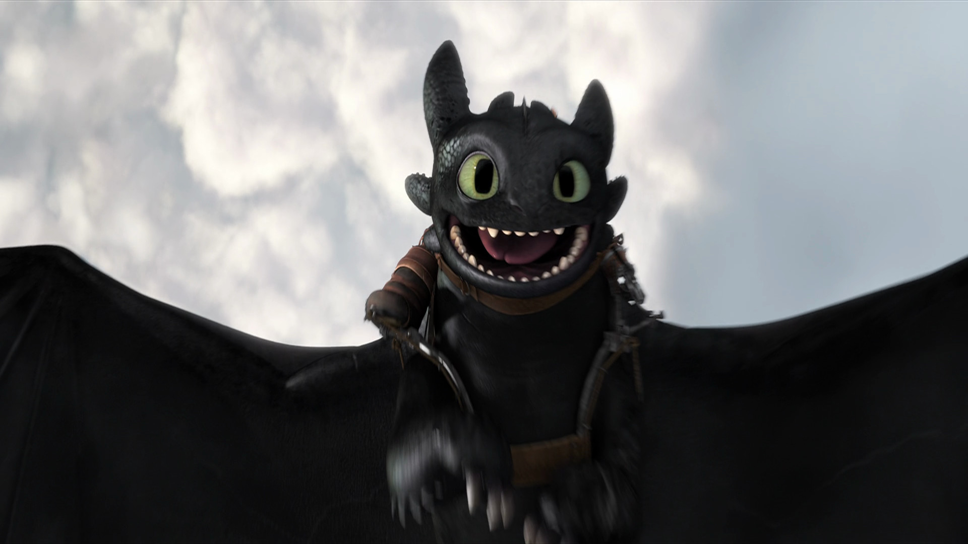 Toothless The Dragon Wallpaper ①