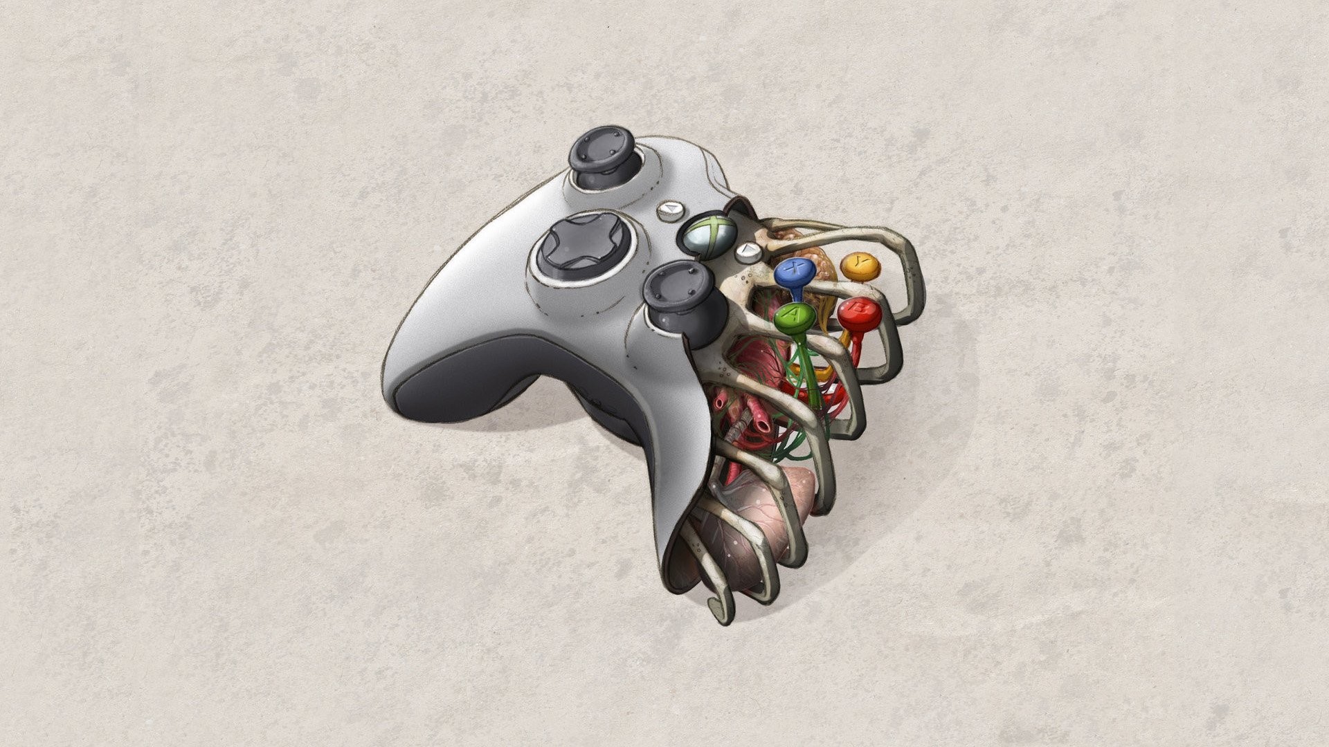 Xbox 360 controller, Xbox, Anatomy art, Cutaway, Surreal, 16:9 Full HD, widescreen wallpaper