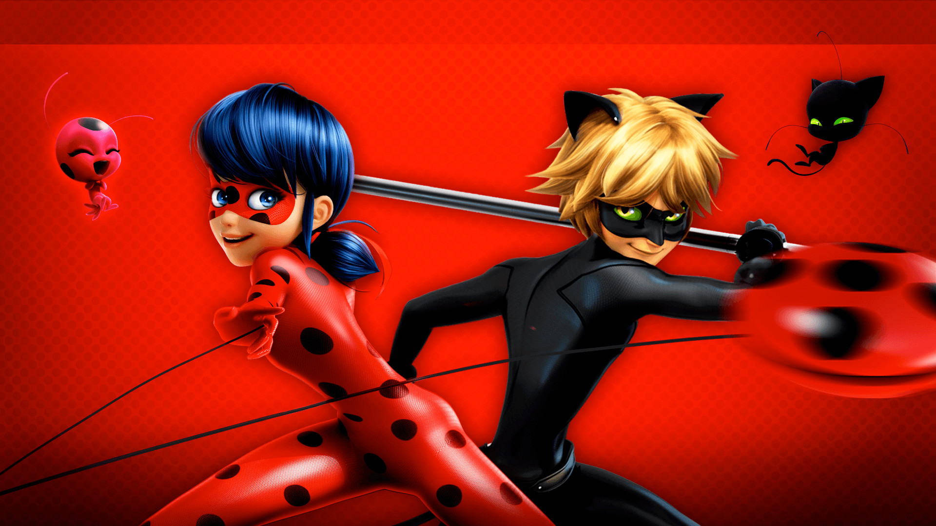 Miraculous Tales of Ladybug  Cat  Noir  Wallpapers    