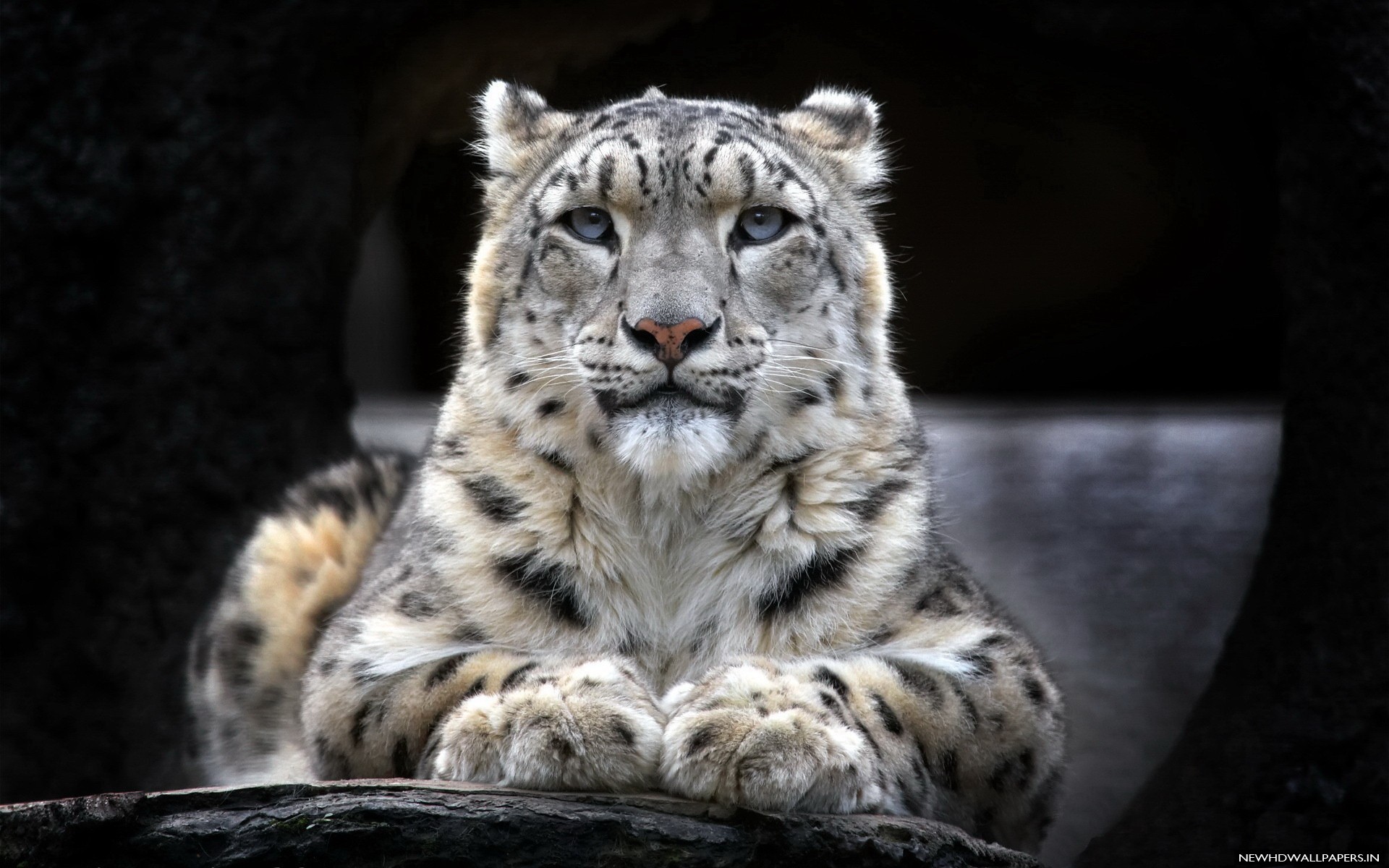 download mac snow leopard iso