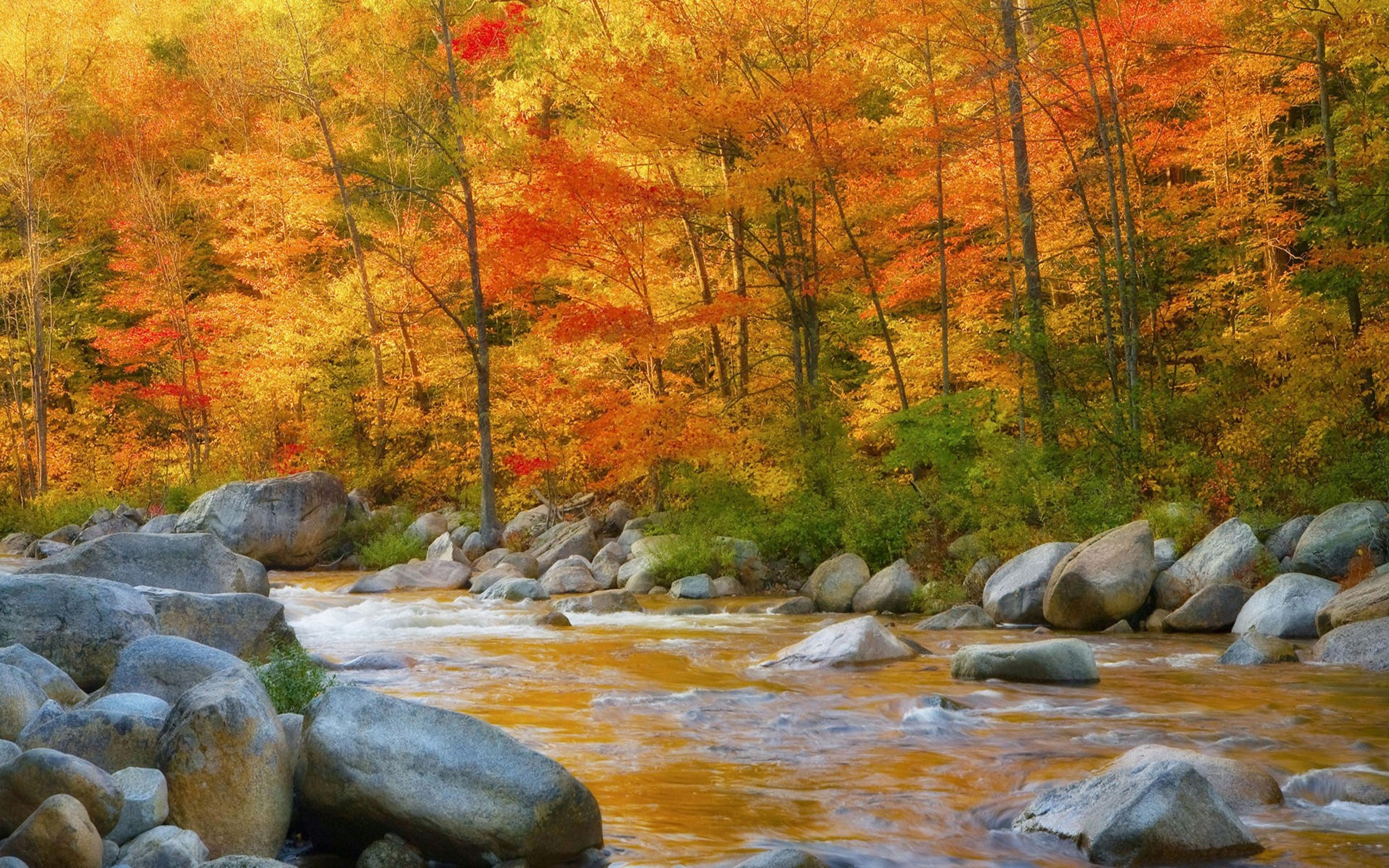 Autumn Wallpaper for Desktop ·① WallpaperTag